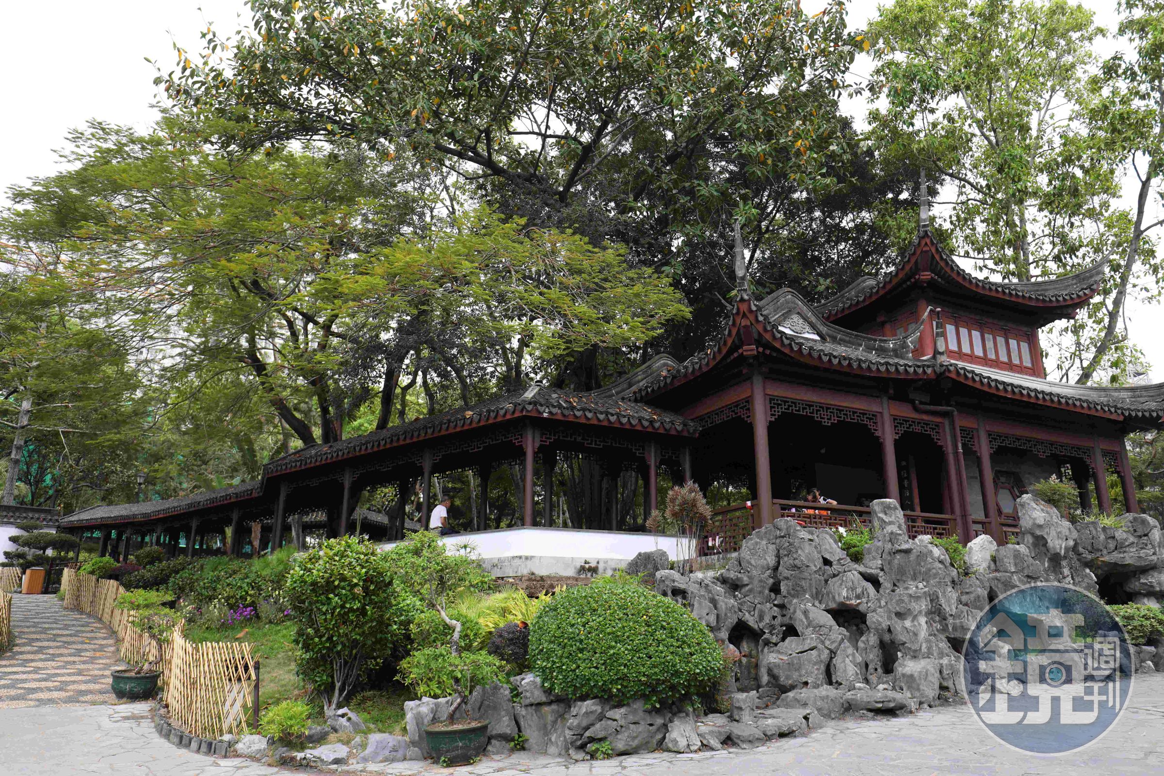 九龍寨城公園的綠意把人拉回現實人生。
