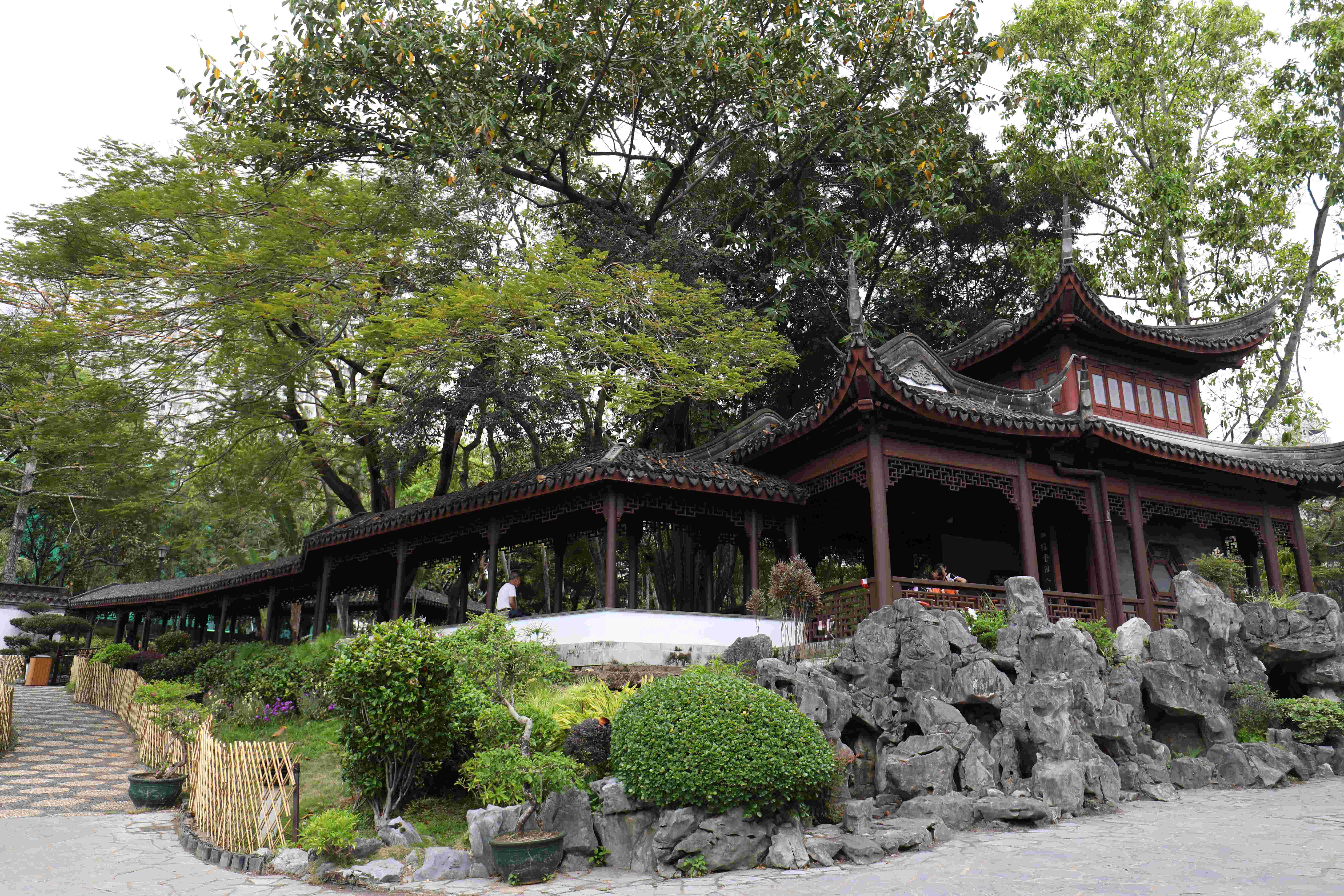 九龍寨城公園的綠意把人拉回現實人生。