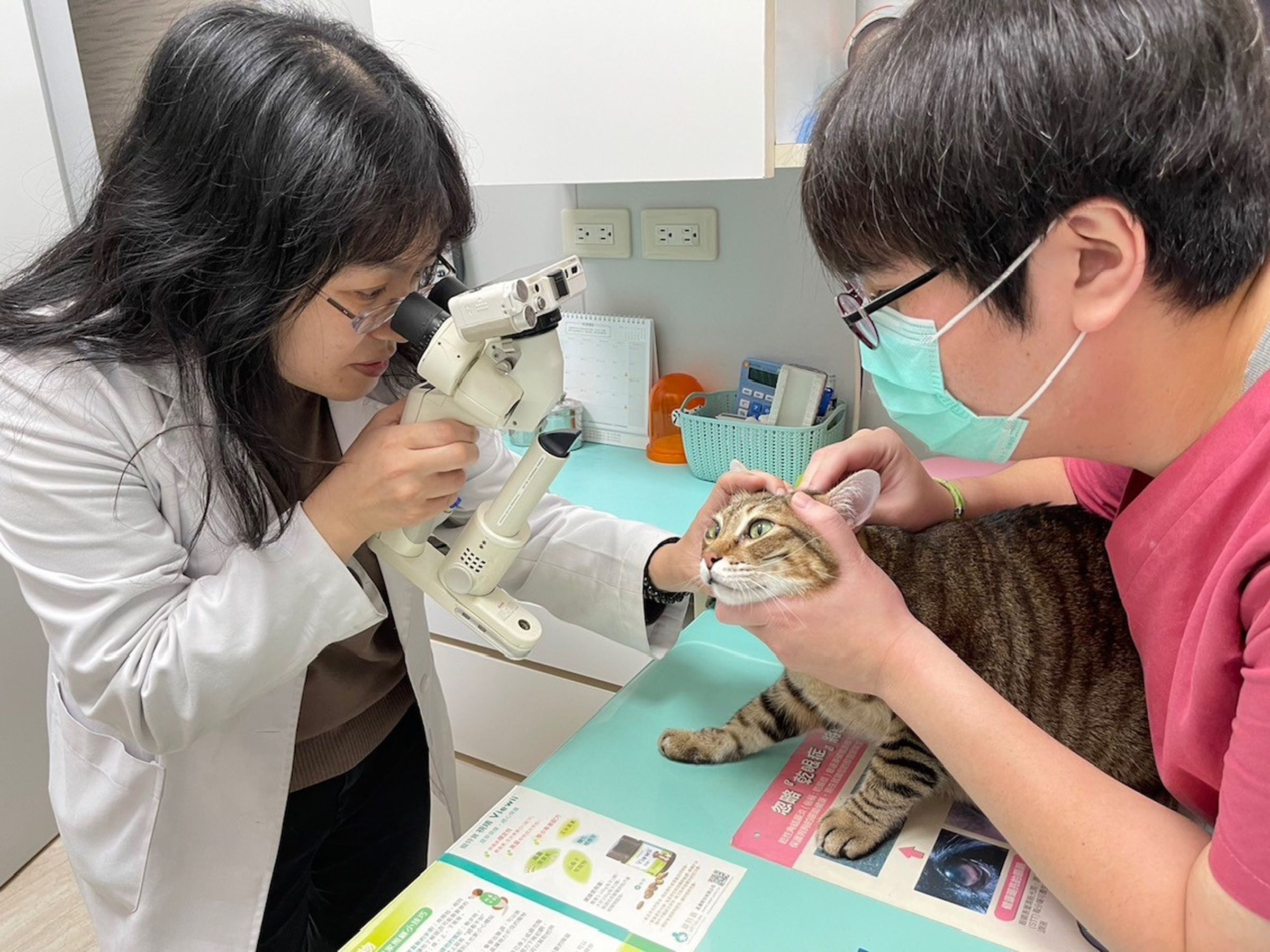 汎亞動物醫院林郁玟醫師提醒,過年期間,如果貓犬有長期服用藥物的需求,務必提早準備,才能與寵物開心過好年。(汎亞動物醫院提供)