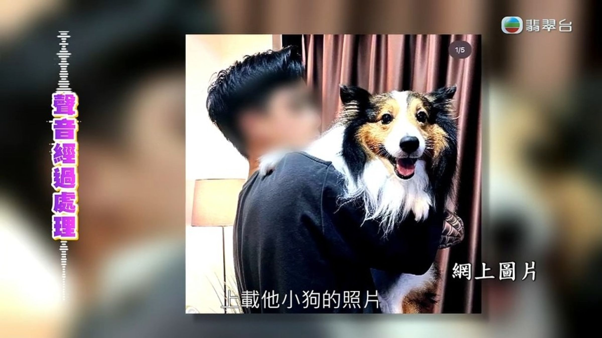 性侵犯出獄變身「愛寵物網紅」繼續騙少女肉體!逾20人受害,有人染性病。(翻自《星島網》)