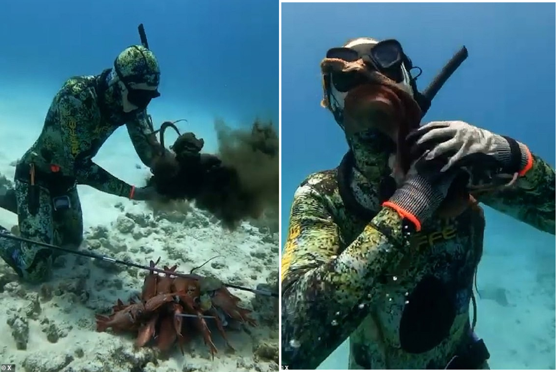 遭戰鬥民族侵門踏戶，章魚戰鬥反擊！死纏男子逼他窒息。（翻自X平台）