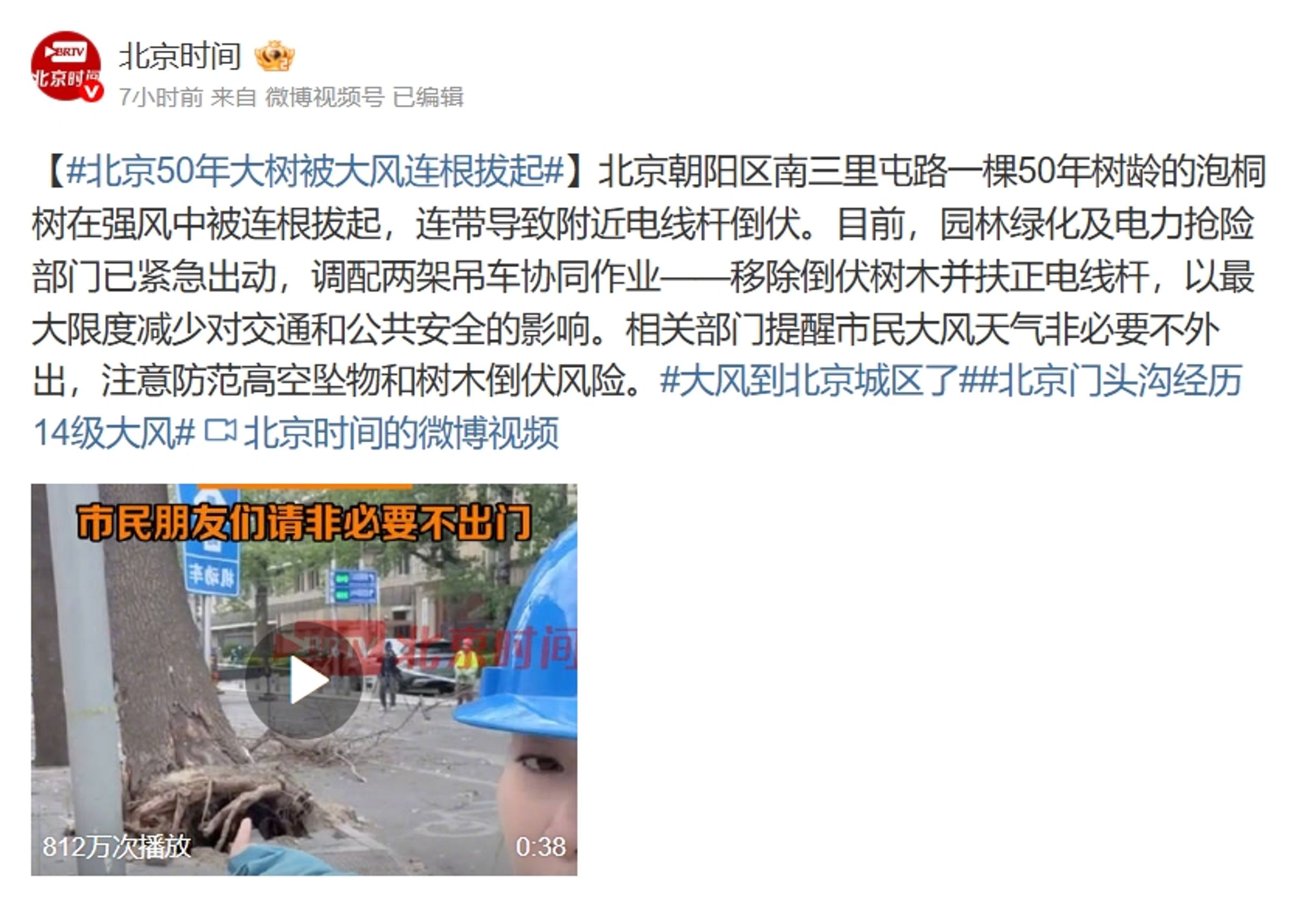 受極端大風影響，北京一棵50年大樹遭連根拔起。（翻攝自微博@北京時間）