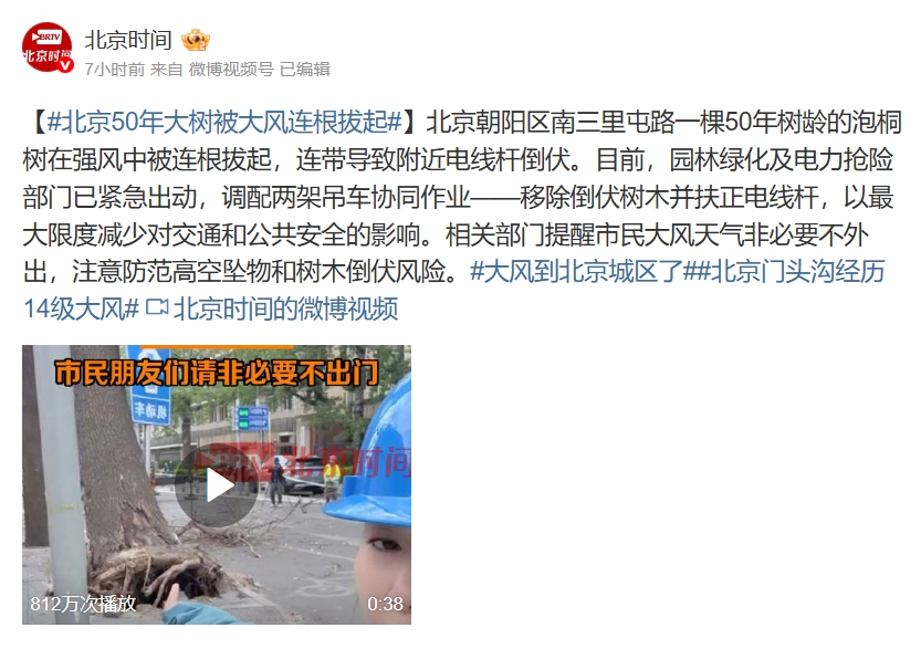 受極端大風影響，北京一棵50年大樹遭連根拔起。（翻攝自微博@北京時間）