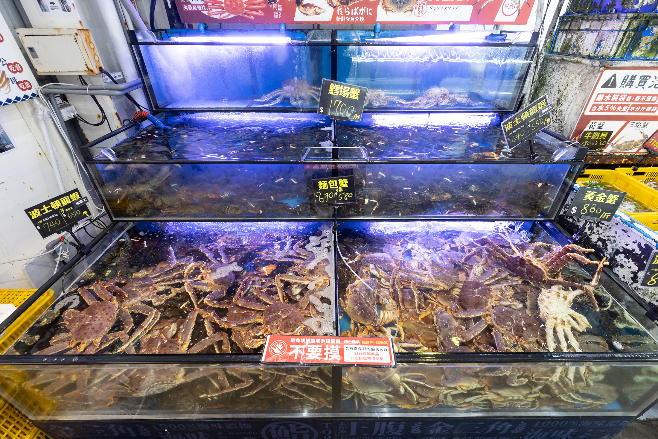 阿布潘水產每日供應包括麵包蟹、雪場蟹、龍蝦等多種頂級海鮮。