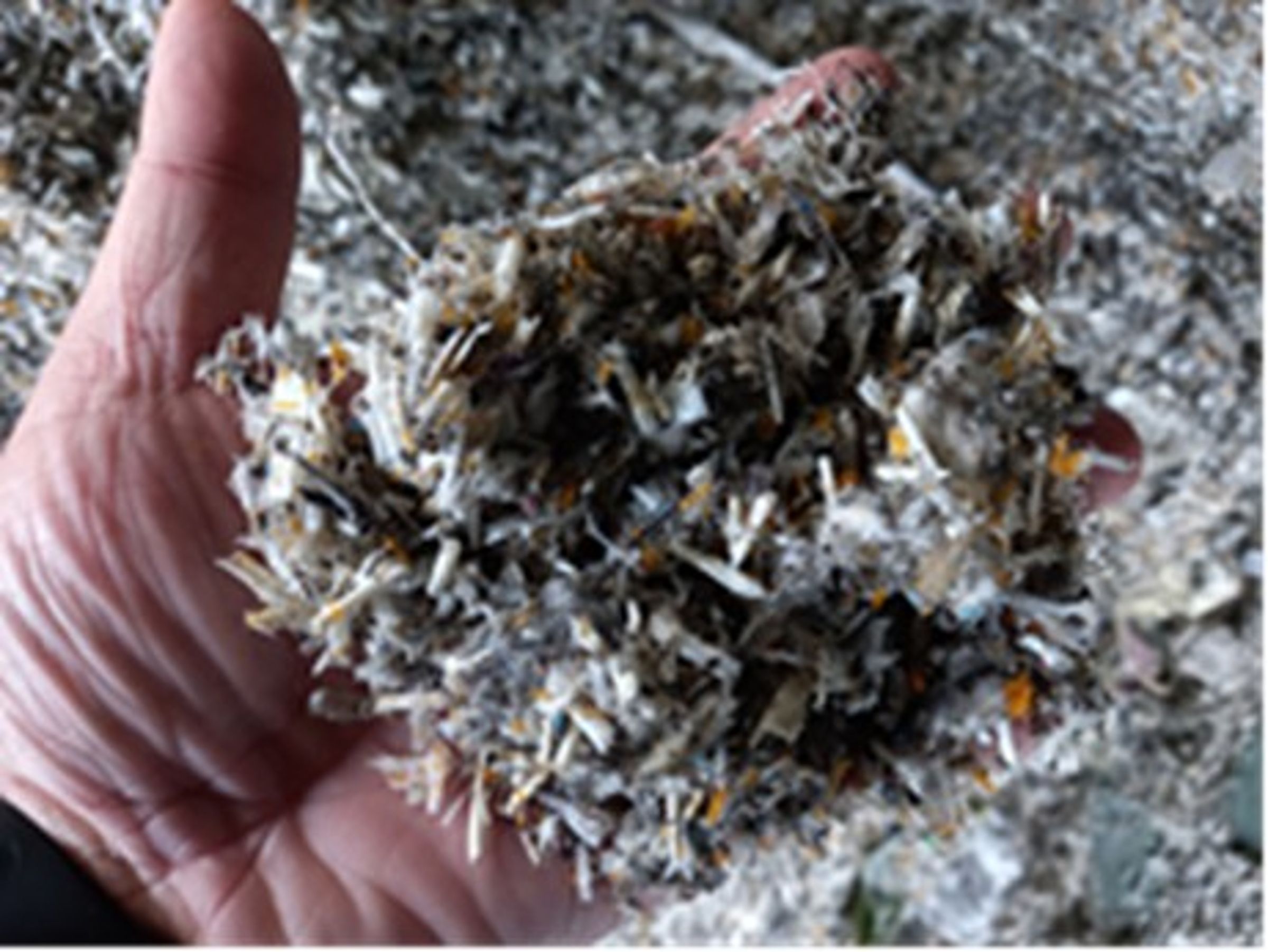 大量廢棄物堆棄在庫房中。（保七總隊提供）