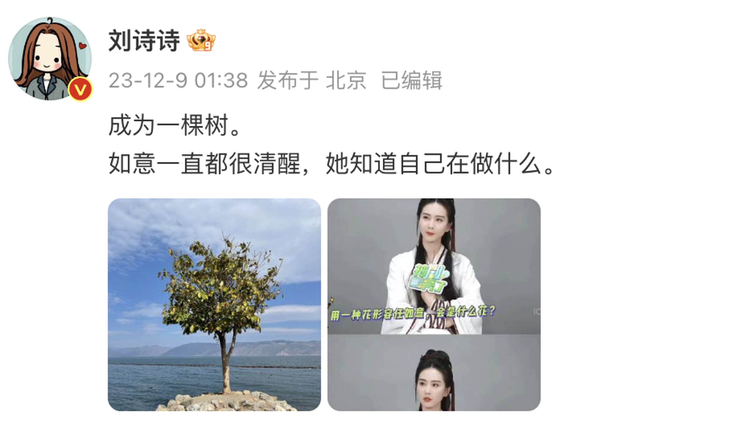 劉詩詩今凌晨在微博發文。（翻攝自微博）