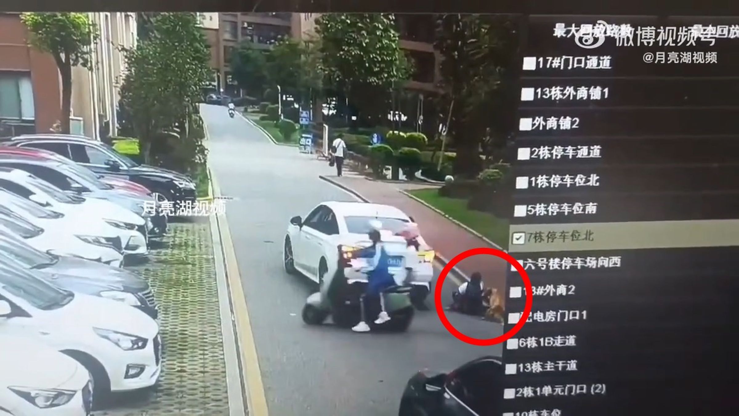中國男童當街慘遭野狗攻擊狠咬,一堆鄉民經過就是見死不救。(翻自微博)