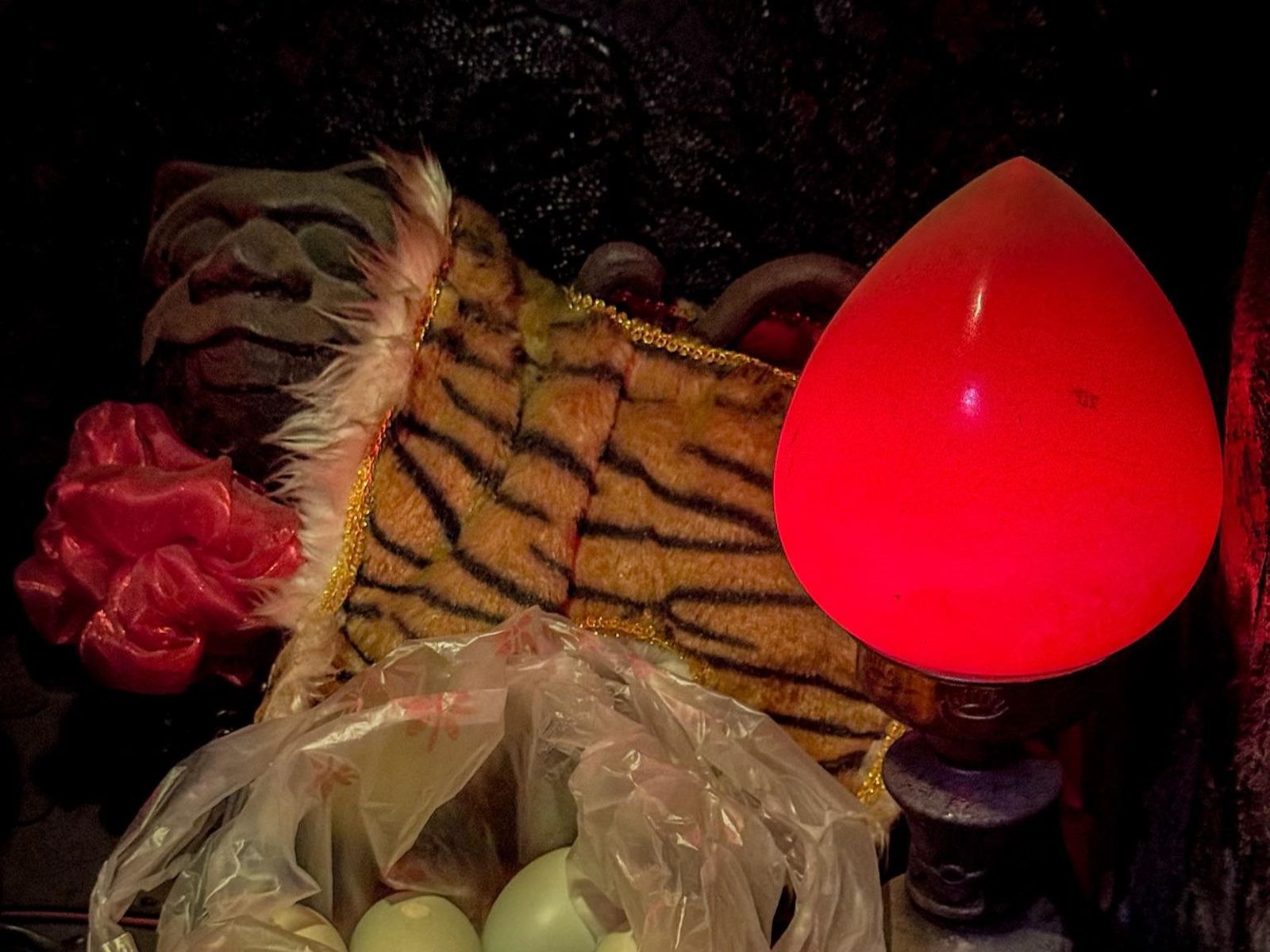 是虎不是貓！被拿貓罐罐祭拜　虎爺生氣「大發爐」