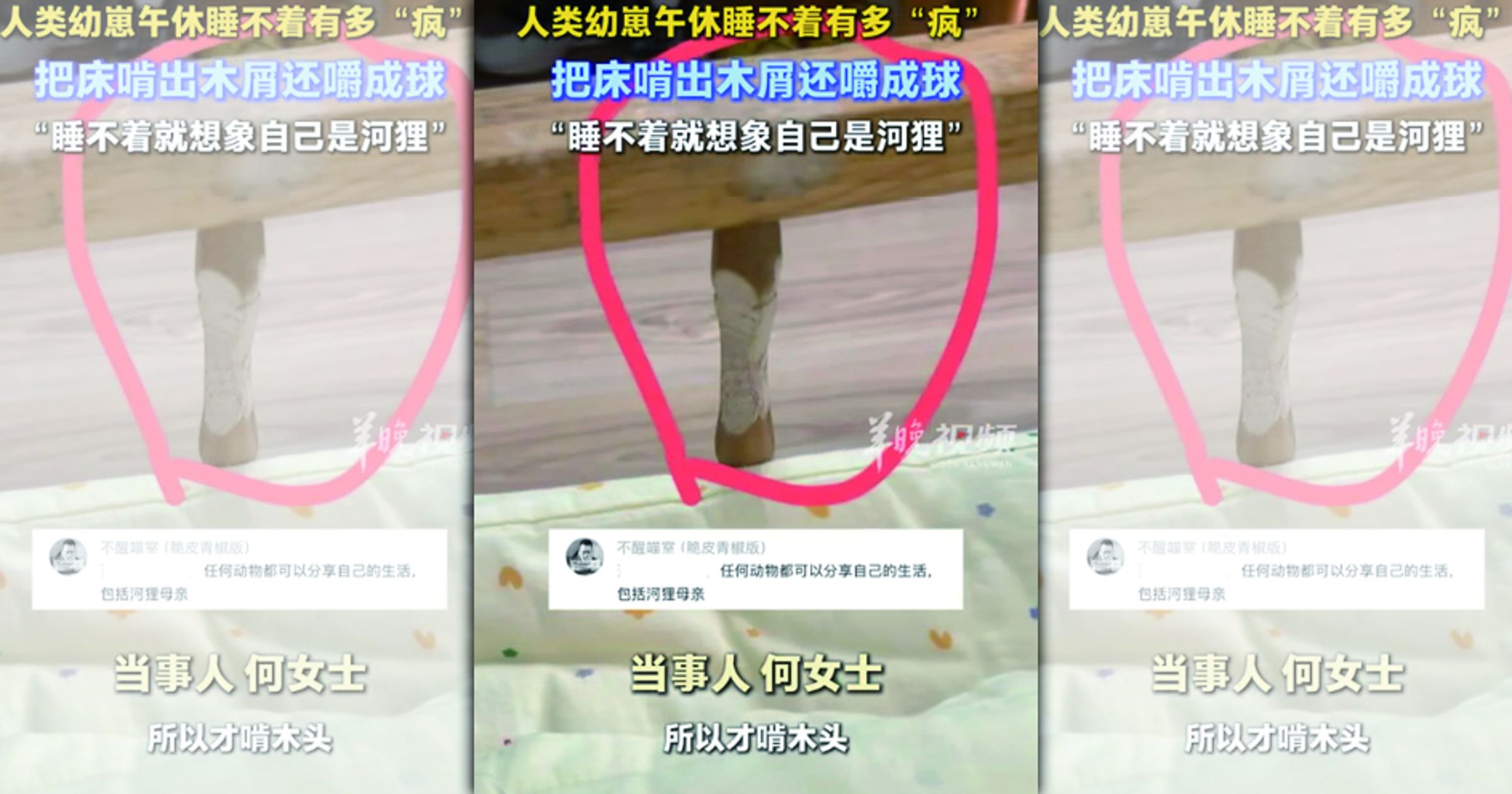 男童午睡睡不著想像自己是「河狸」,把木床啃成小樹枝。(翻攝微博)