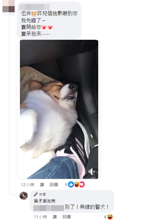 柯基飼主現身留言向被嚇壞的貓咪賠罪。（翻攝自翁子派出所臉書）