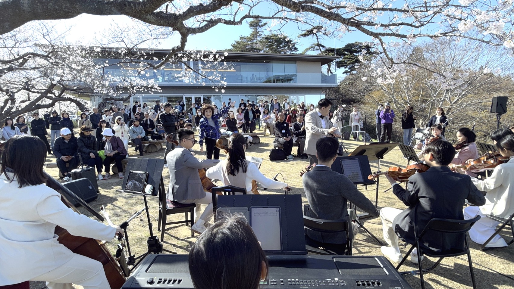 百年樹下音樂會十分清雅別緻。(李朝永提供)