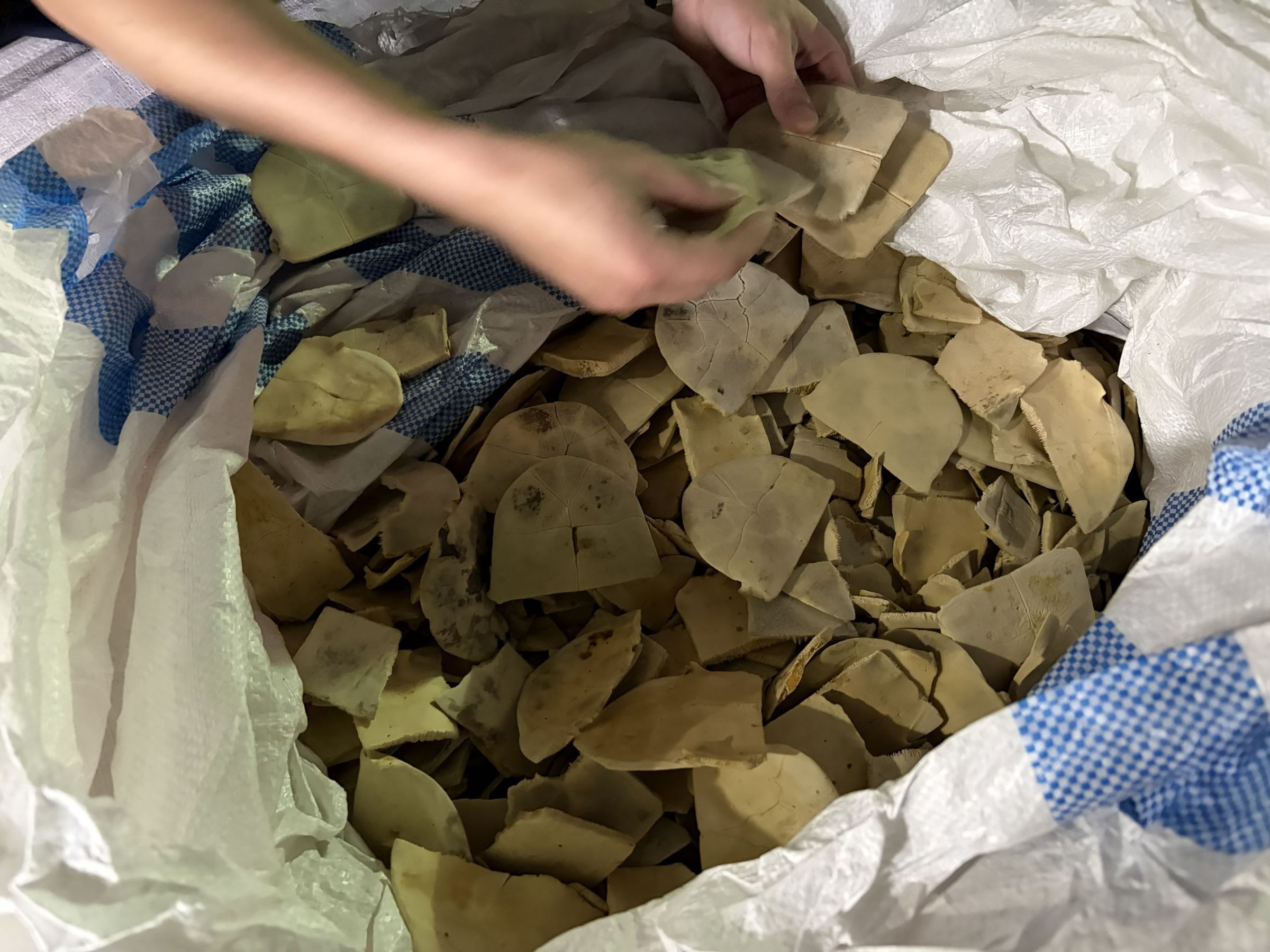 保三總隊成功攔截一起近10年罕見的大規模走私瀕危野生動物製品案。保三總隊提供