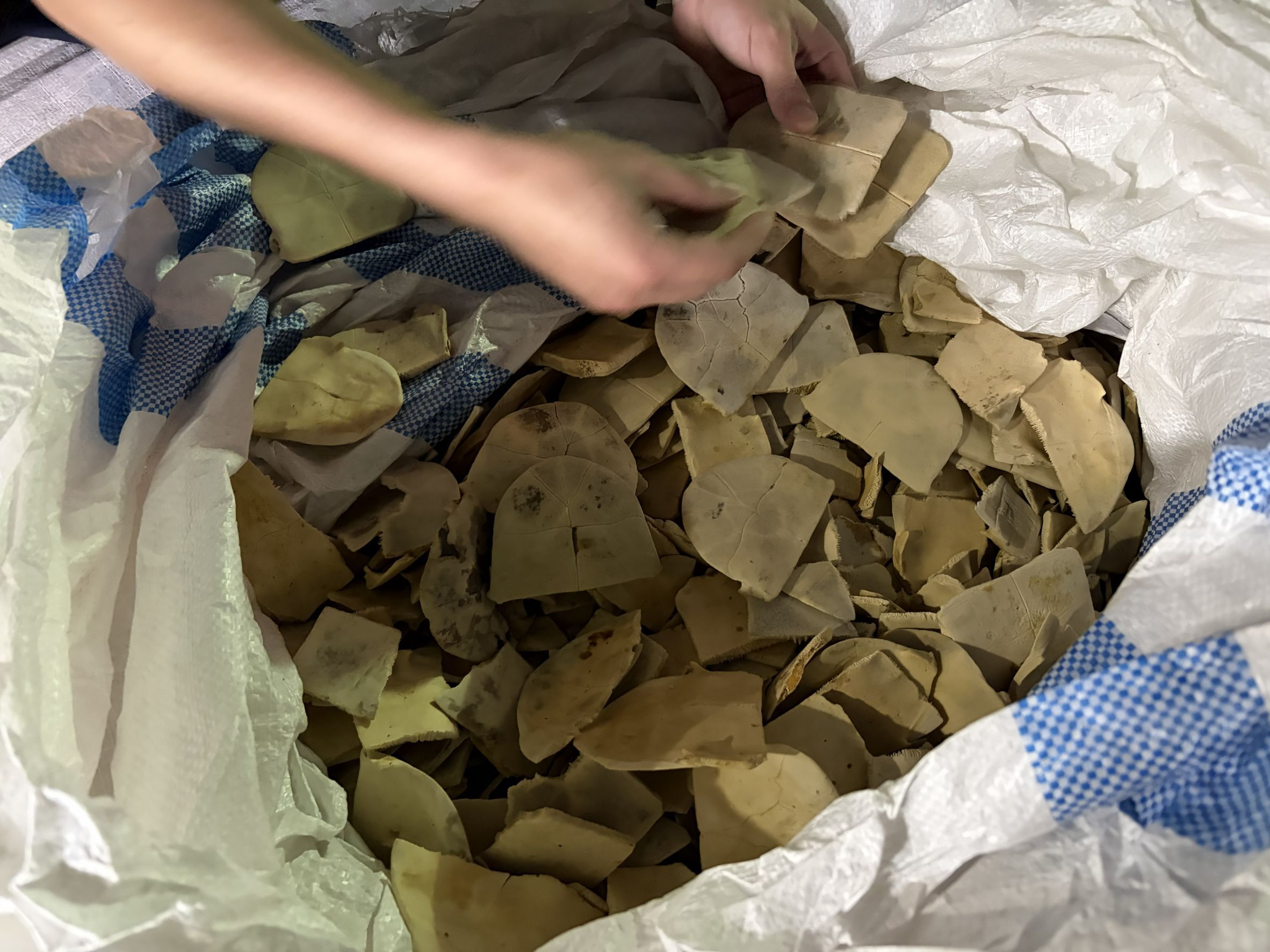 保三總隊成功攔截一起近10年罕見的大規模走私瀕危野生動物製品案。保三總隊提供