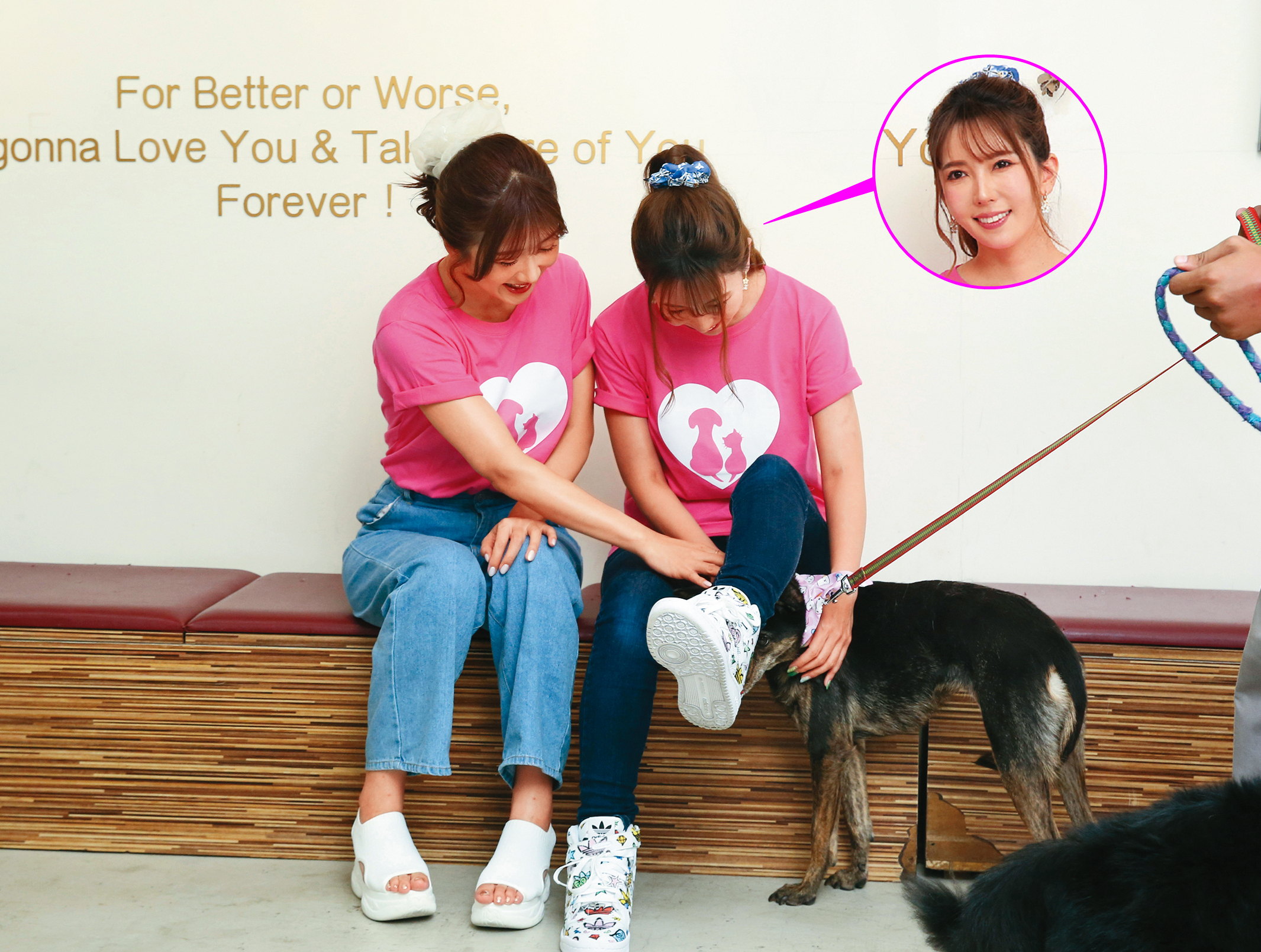 波多野結衣（右）與大槻響（左）為浪浪發聲，一隻毛小孩躲進腿下，老司機已羨慕…（學狗吐舌）