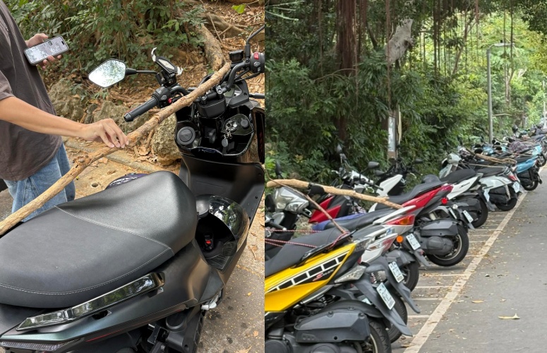 不少外地遊客第一次見到「機車集體插樹枝」景象，拍照上網詢問後意外引發熱議。（翻攝自Threads/_.cuanniii）