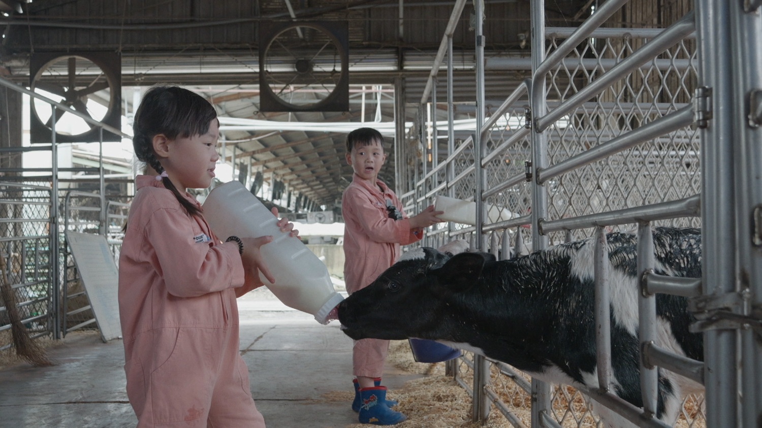 餵食寵物蛇、幫巨蜥剪指甲 《歡迎光臨我的牧場》直擊動物照顧日常