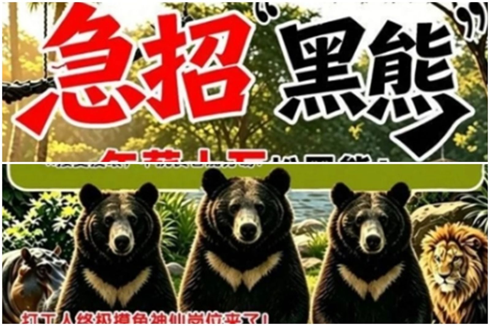 真的是工讀生!動物園徵「月薪3萬9千」當黑熊 要求嚴禁說人話!園方證實:每日6小時