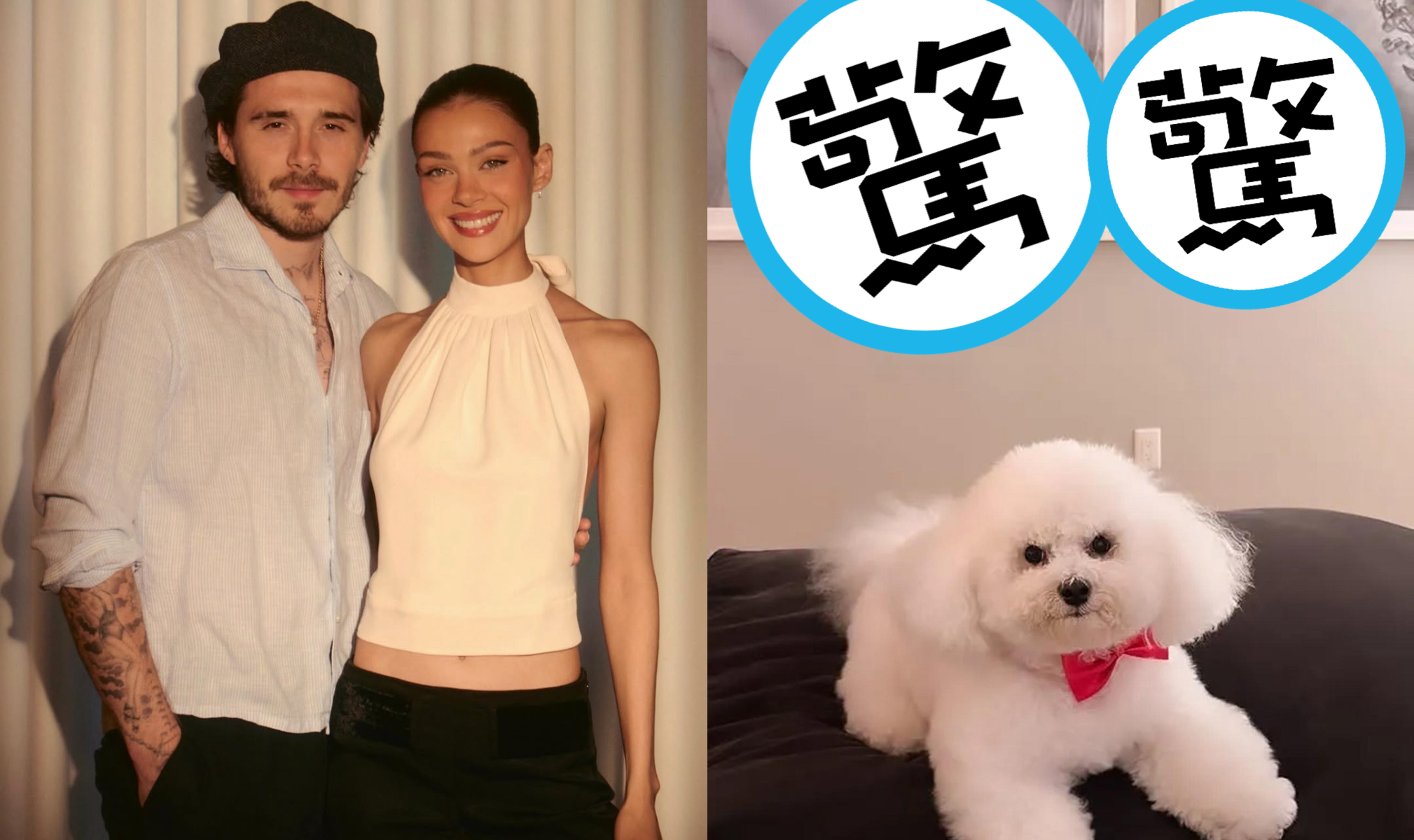 布魯克林與妻子妮寇拉（左圖）定居美國加州，近日妮寇拉一張愛犬照片（右圖）意外掀起話題。（翻攝nicolaannepeltzbeckham IG）