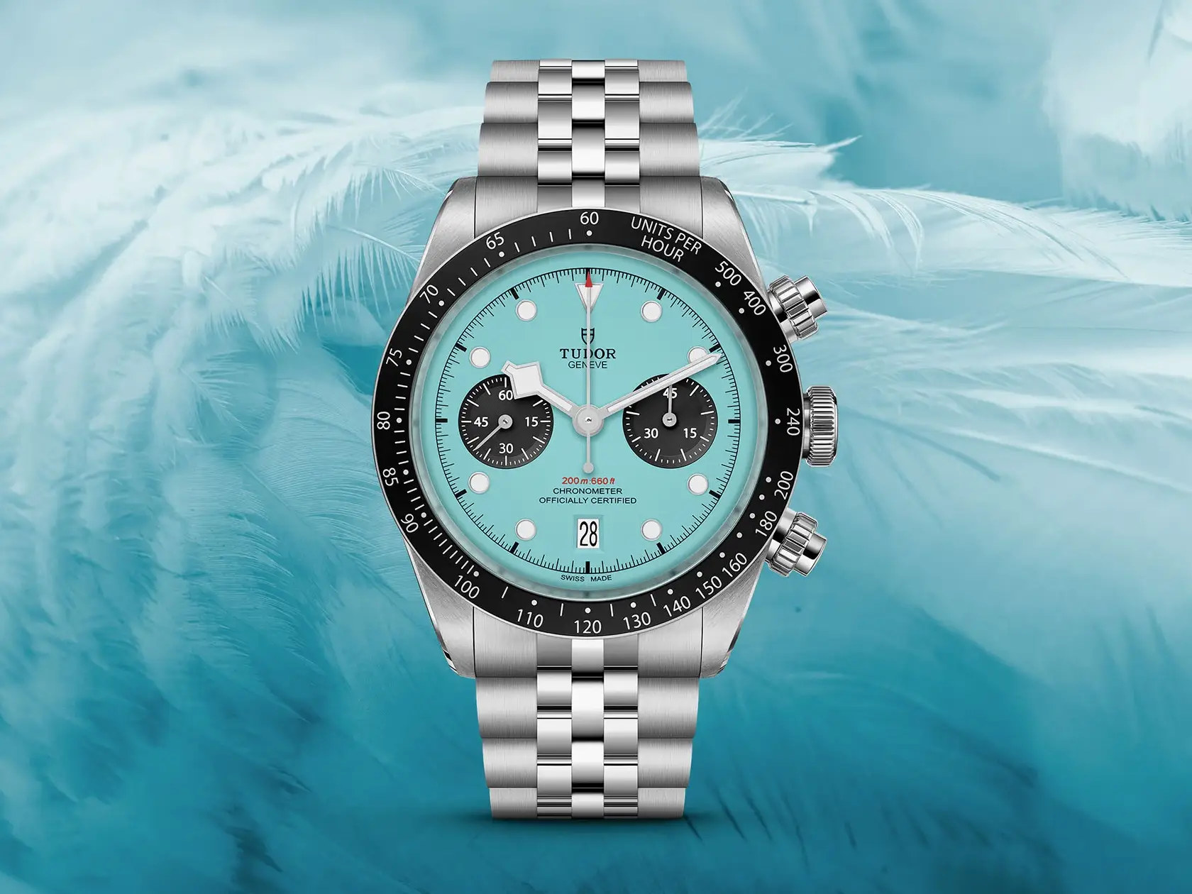 帝舵 Black Bay Chrono Flamingo Blue「火鶴藍色款」，定價約NT$189,500。