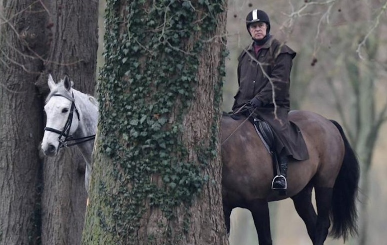 英國前王子安德魯醜聞持續遭爆料。(翻攝自X平台 @glennbuss)