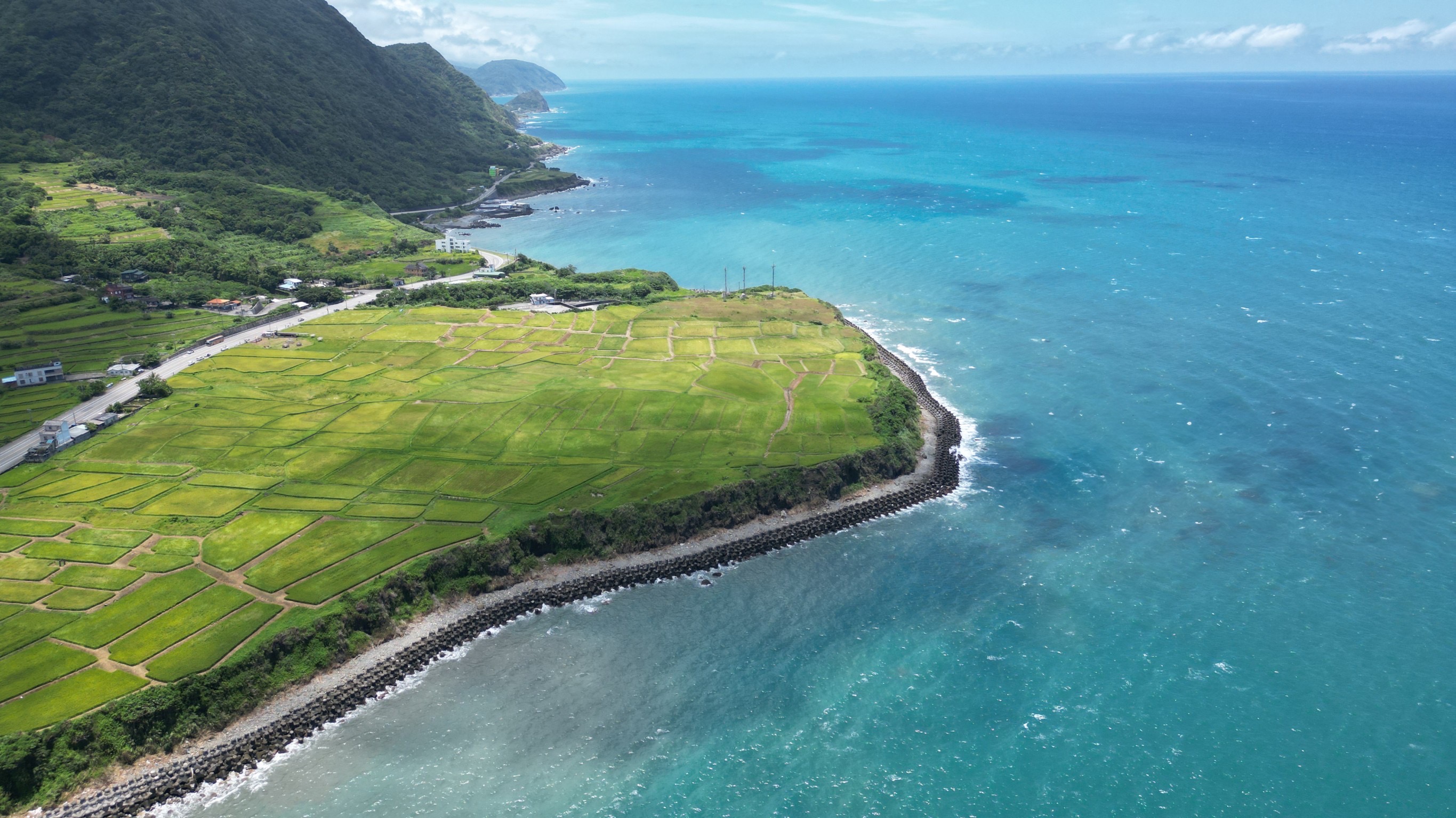 「巴・特虹岸友善米燒酎」使用花蓮新社部落種植的有機海稻米釀造而成。（禾發堂提供）