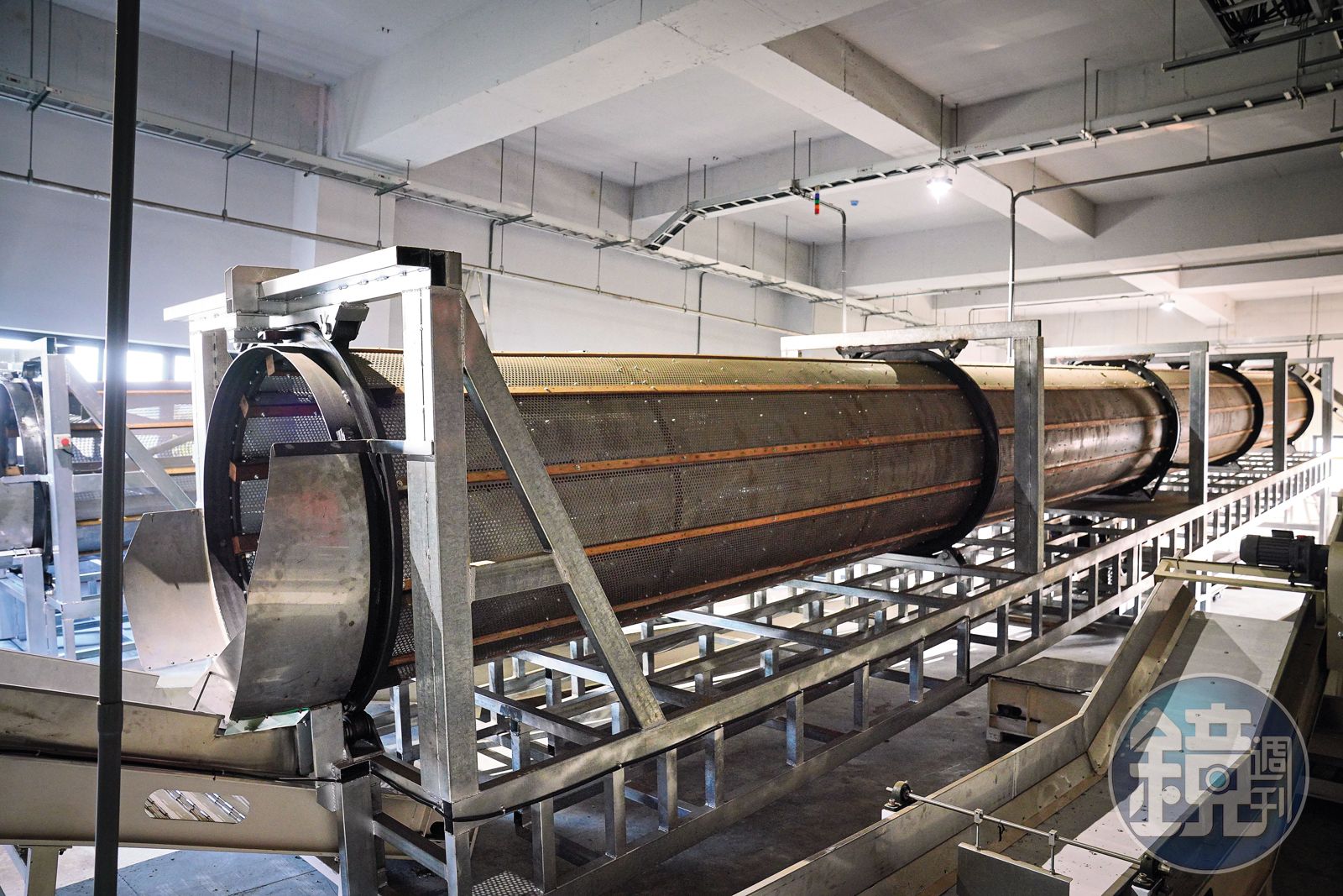 迥異傳統「看天吃飯」的製茶工序，桔揚首建AI製茶機，一道浪菁工序一轉動宛如一條巨龍舞動。