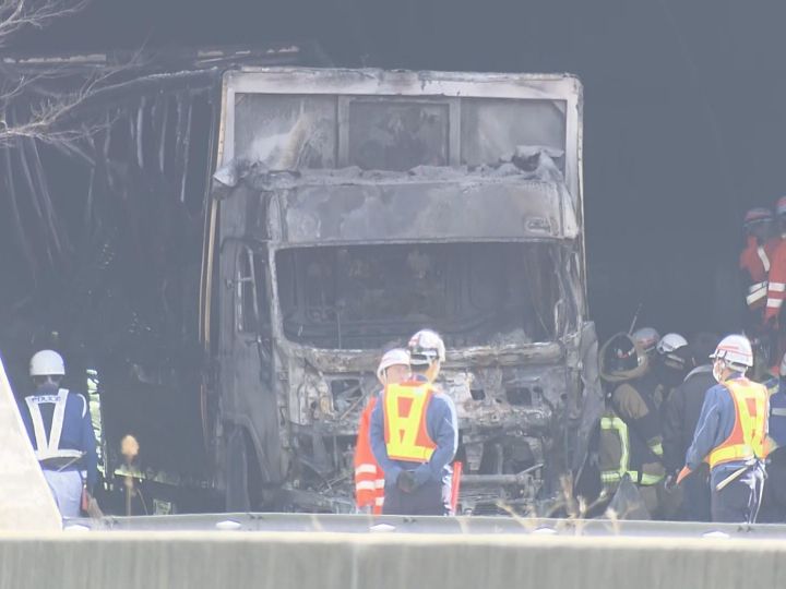 邊開卡車邊看TikTok截圖13秒分心　日本卡車駕駛追撞2車奪6命