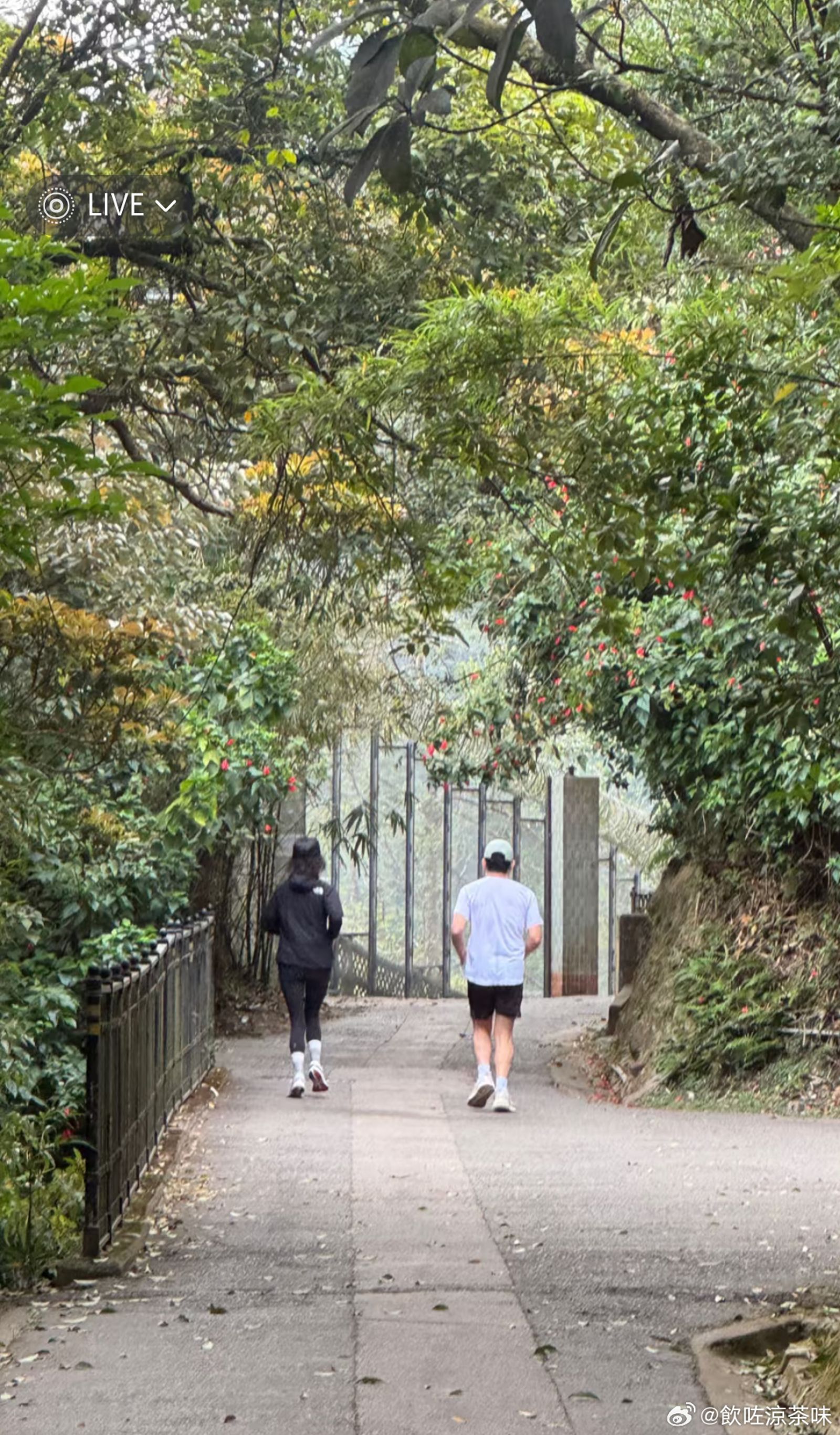 當天還有劉嘉玲陪跑,夫妻倆不管在生活和事業上都合作無間,令人羨慕。(小紅書圖片)