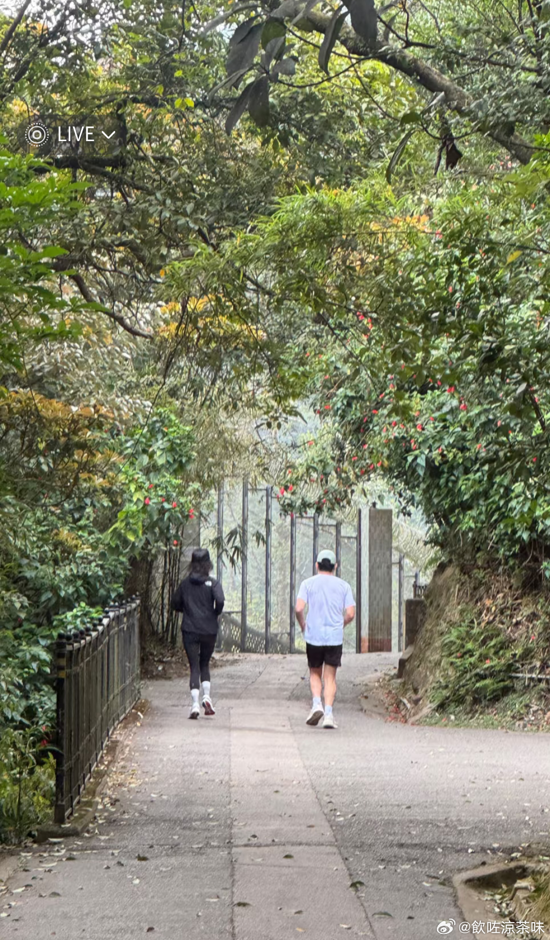 當天還有劉嘉玲陪跑，夫妻倆不管在生活和事業上都合作無間，令人羨慕。（小紅書圖片）