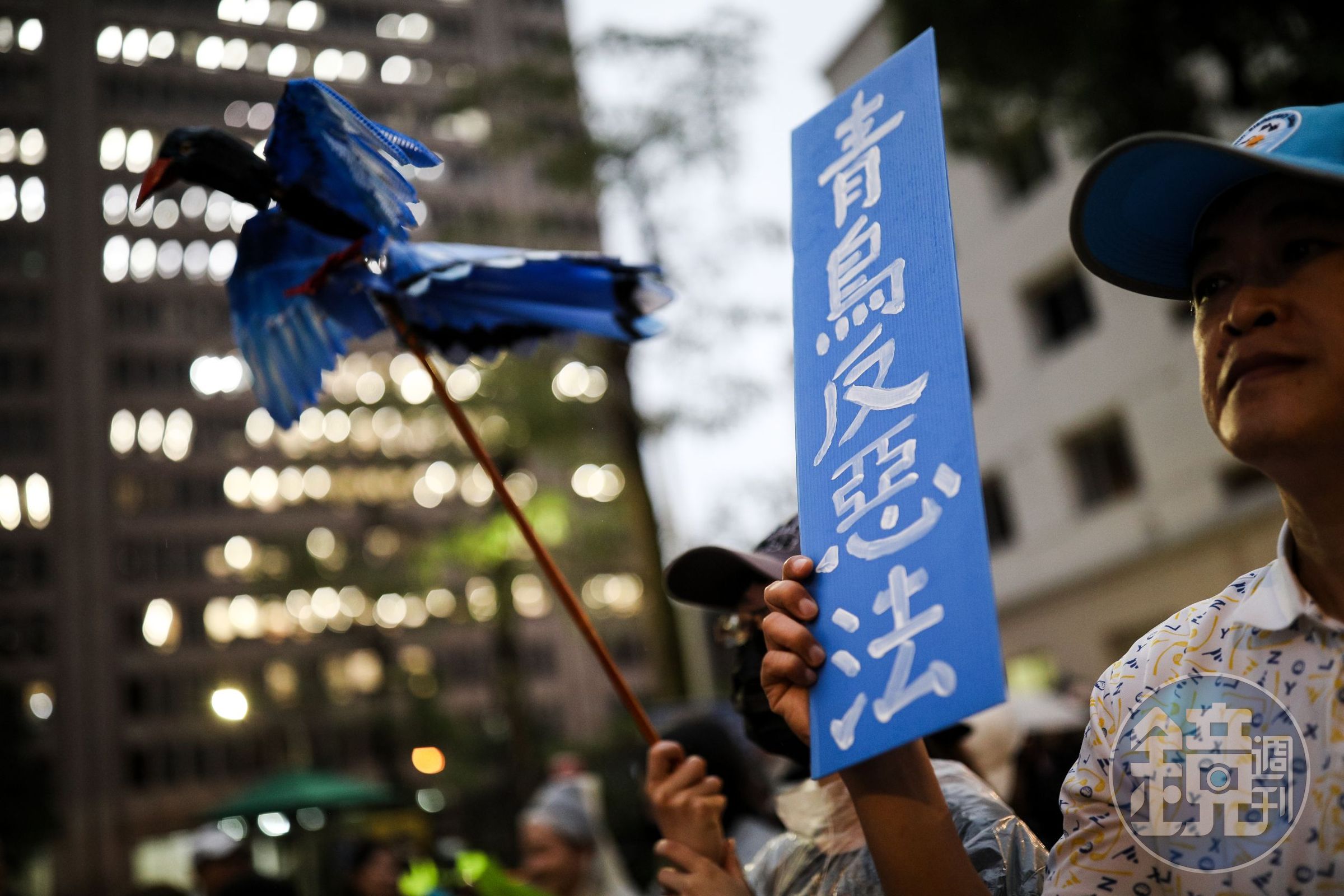 民眾反對國會改革法案包圍立院,後相關活動被稱為「青鳥行動」。(示意圖)