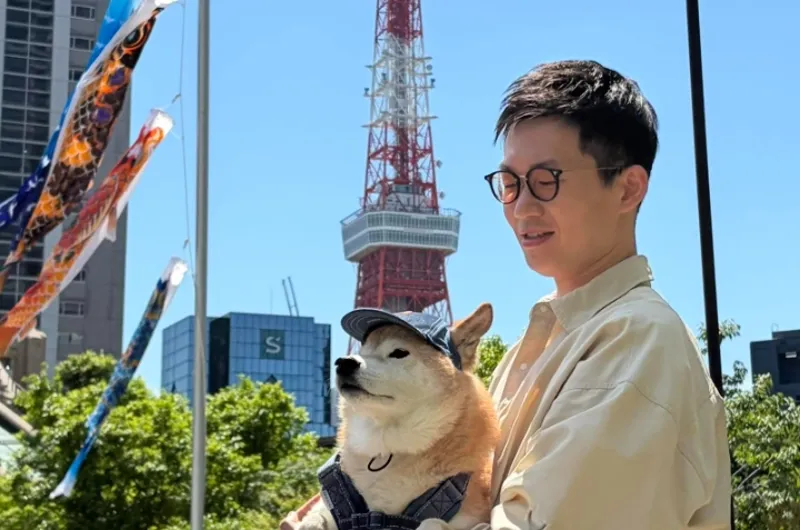 日本地震速報「規模9.9」嚇壞一票人！氣象廳將開記者會說明　視網膜收訊直接看傻
