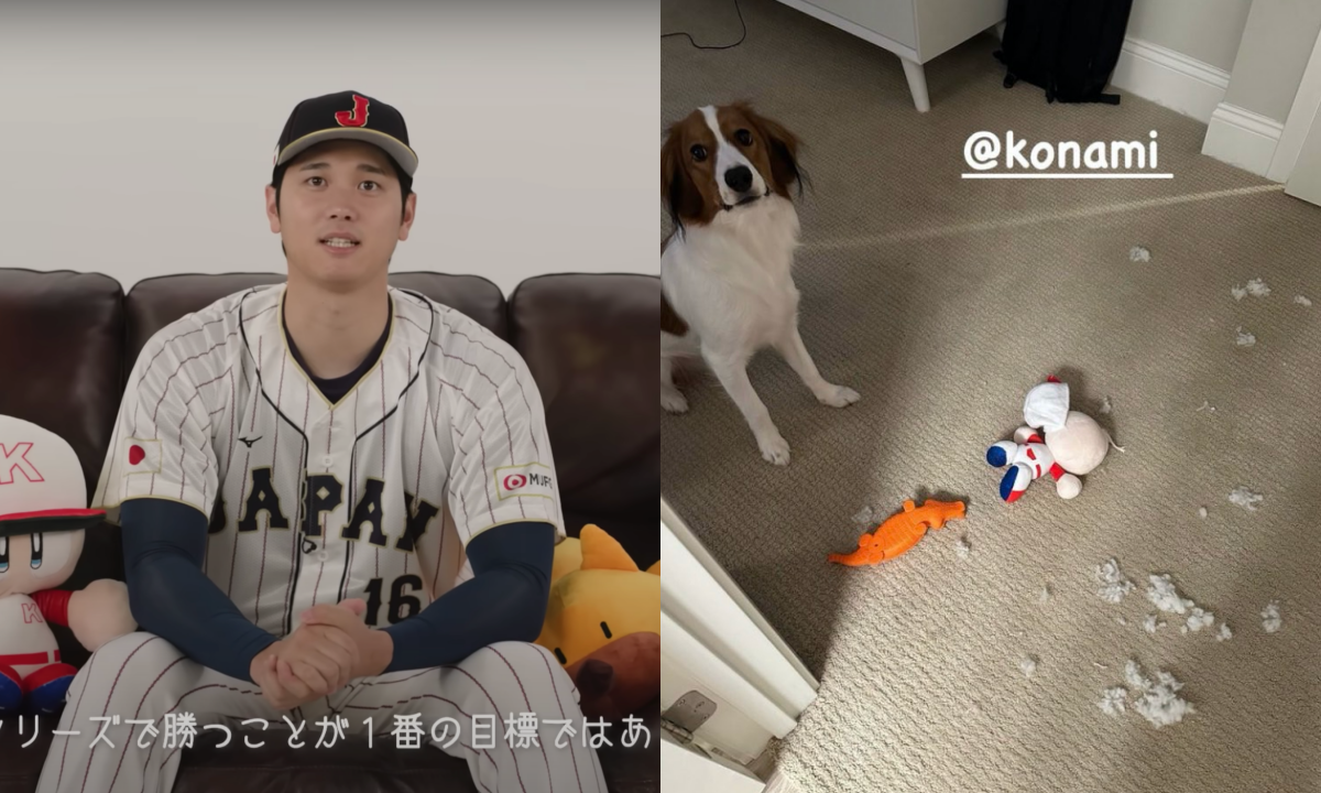 大谷翔平拍完廣告後帶娃娃回家給愛犬，卻一下就被咬爛。（翻攝自大谷翔平IG、パワプロ・プロスピ公式チャンネルYT）