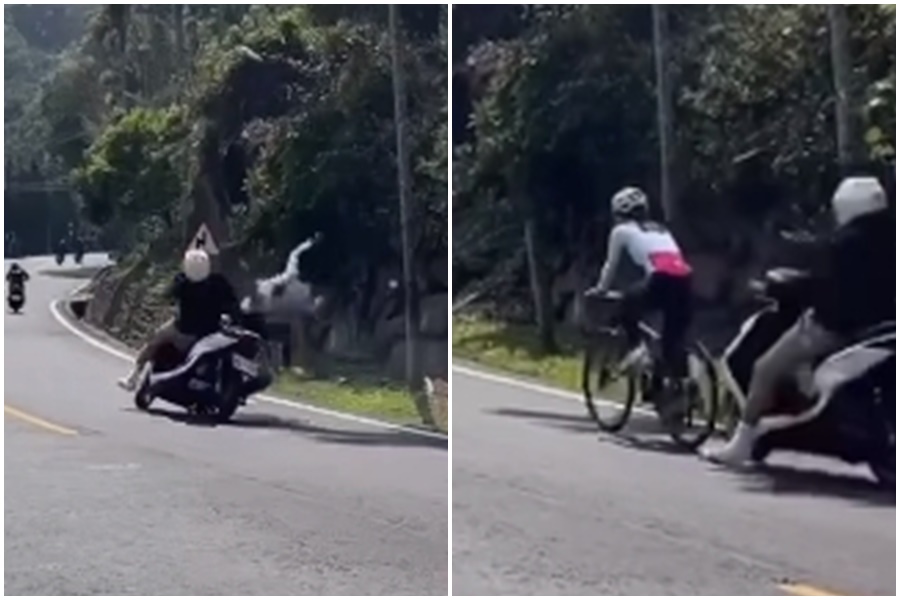 山道猴子從後方追撞好好騎車的自行車女騎士,恐賠至少30萬元。(翻攝自重機車友 ❘ 各區路況天氣、資訊分享中心臉書)