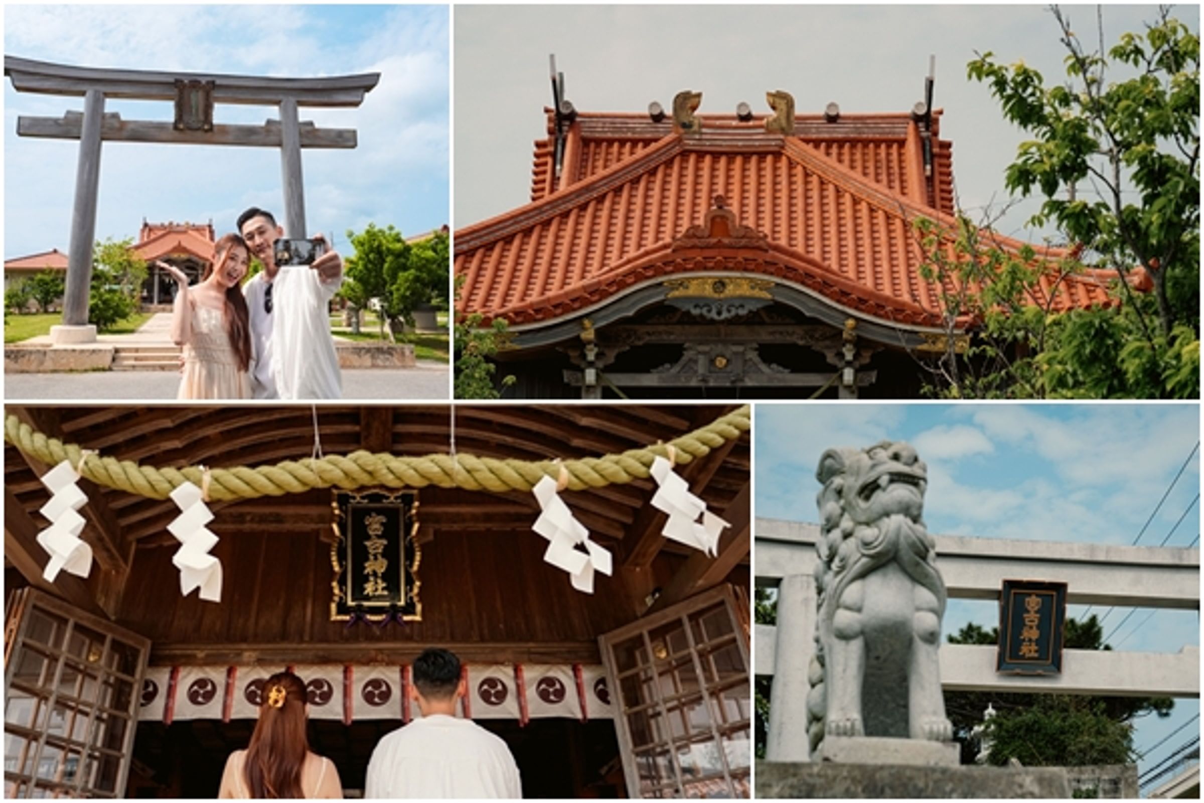 宮古神社坐落在綠意與海風之間,是旅客走進宮古島文化、感受島上魅力的絕佳第一站。(星宇航空)