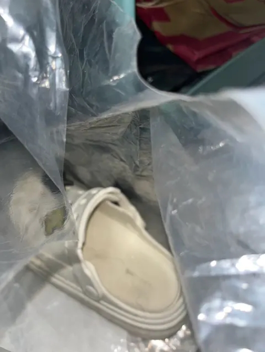 女網友出門時，連續3次在白色洞洞鞋內踩到「黏稠液體」。（翻攝自Dcard）