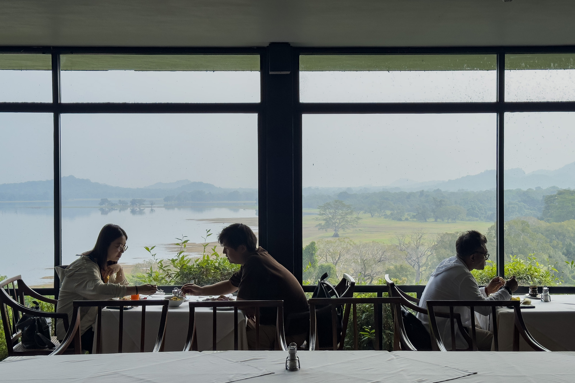 餐廳區域同樣強調通透性,窗外即是保護區的林木與湖景,將用餐環境與周邊自然景色垂直連結。