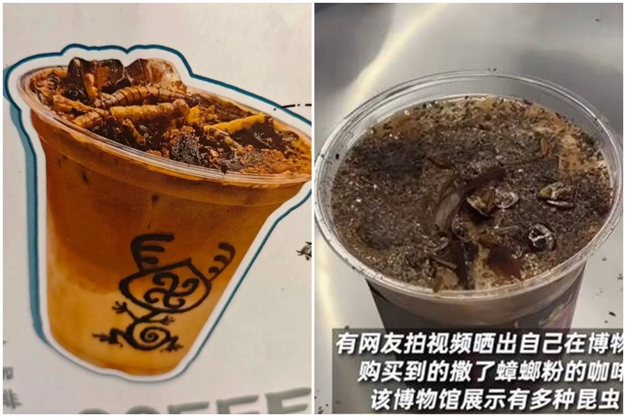 中國北京萬物博物館近日推出「蟑螂粉咖啡」，一被要價高達45元（約新台幣196元）。（翻攝自微博）