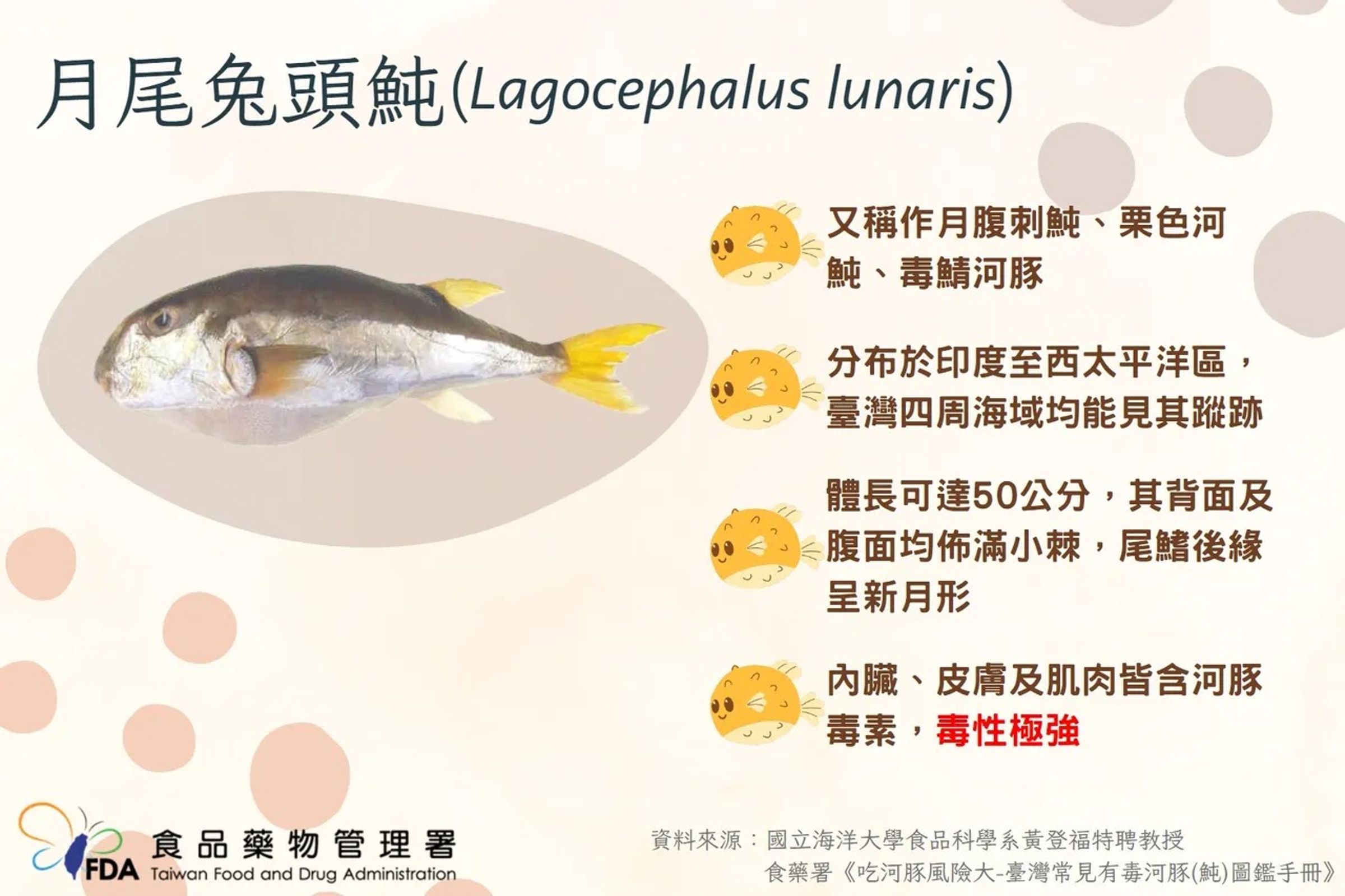 南投民眾自行下廚食用河豚中毒造成1死8送醫,食藥署今公布河豚肉食餘檢體檢驗結果。(食藥署提供)