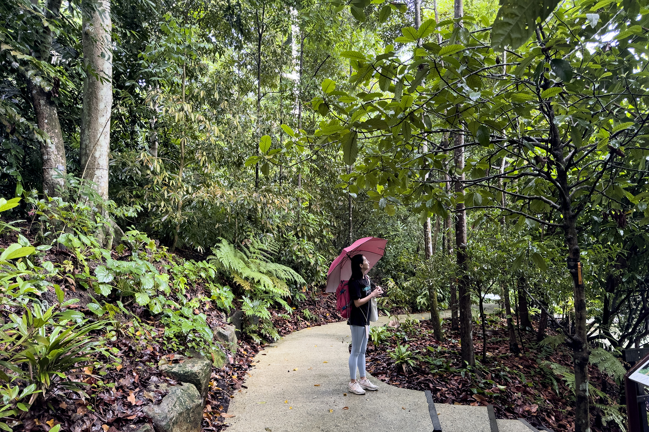 參加Xiu Nature Connections舉辦的森林浴，會發現原來平靜片刻在這座城市裡唾手可得。