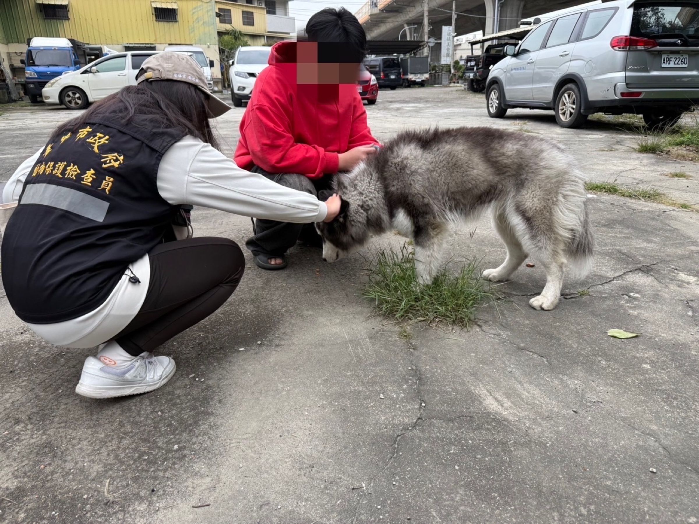 動保處派員前往訪視，紅衣者為新飼主。（台中市動物保護防疫處提供）