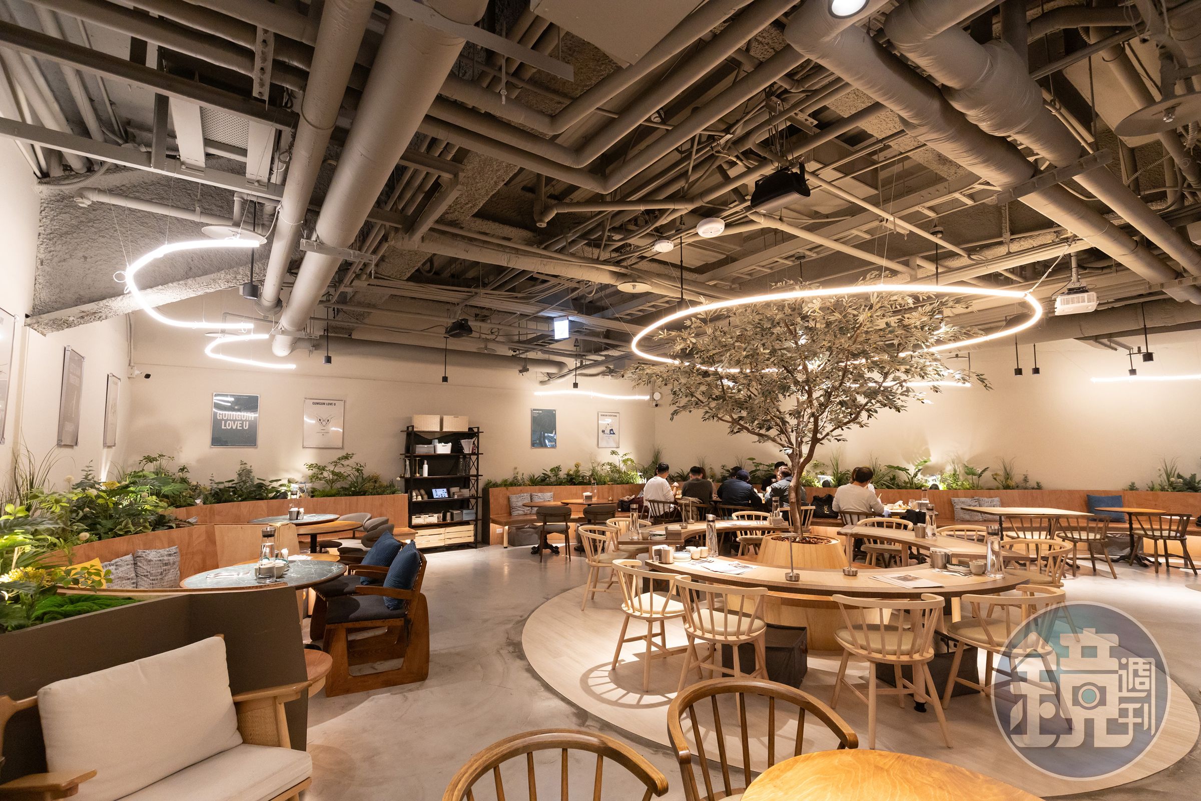 小巨蛋店以綠色植栽營造出愜意、緩慢的氛圍,最棒的用餐體驗之一是不限時。