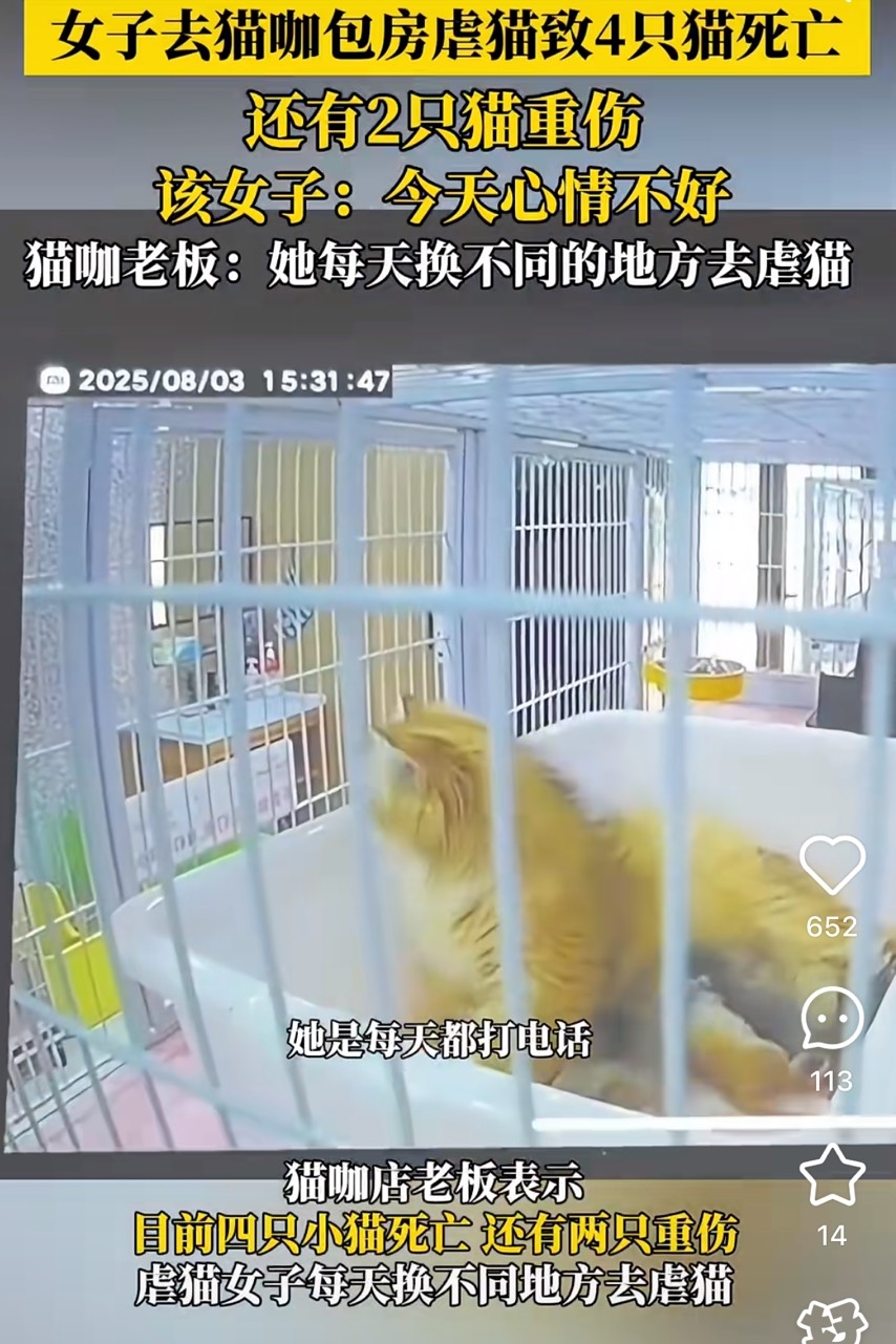 1名女子進入當地一間寵物咖啡廳竟趁店員不在場，對多隻幼貓進行長達半小時的暴力施虐。（翻攝微博）
