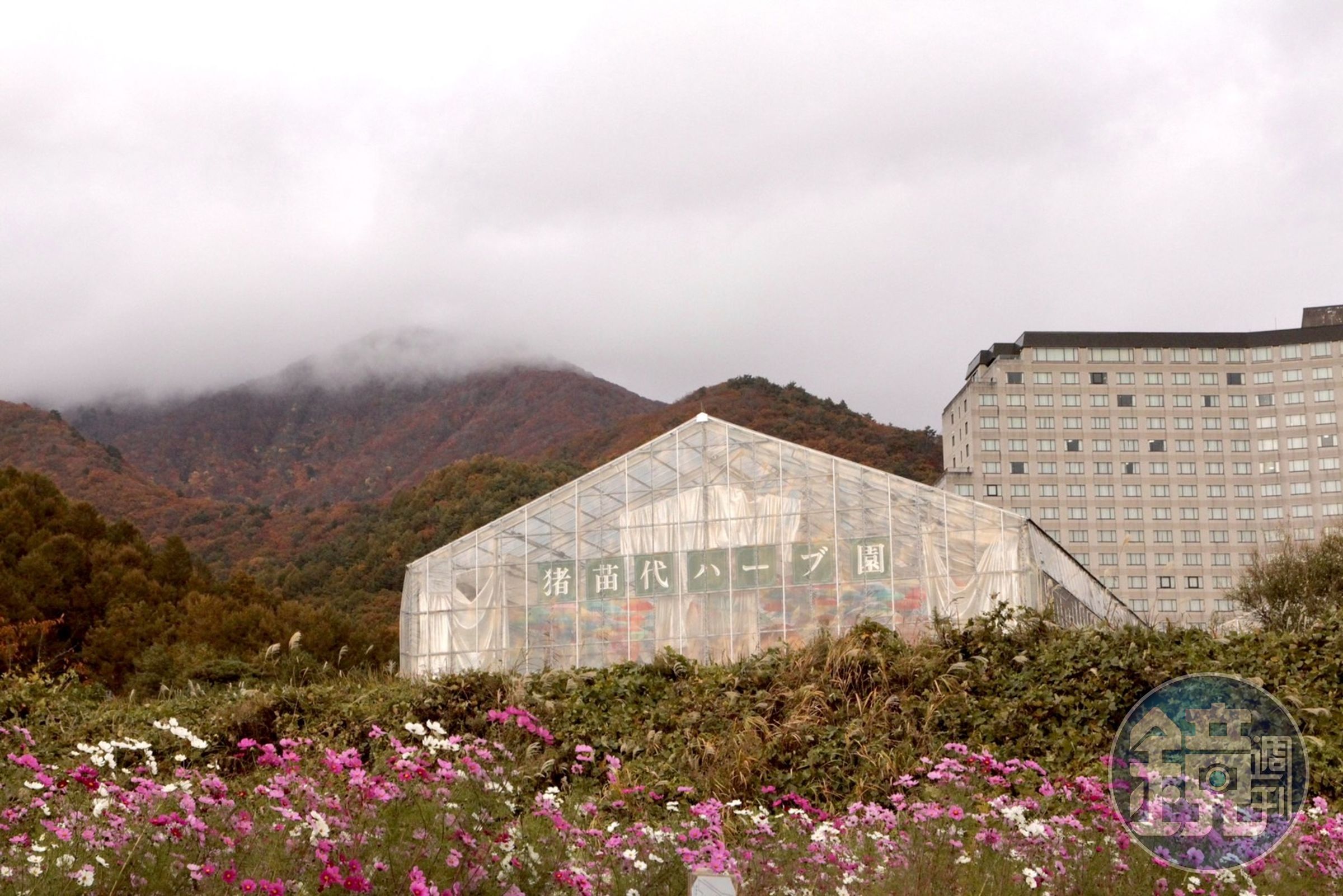 不僅飯店四季皆美景，飯店附屬的「豬苗代花草園」在不同季節也能看到時令專屬的各式花卉。