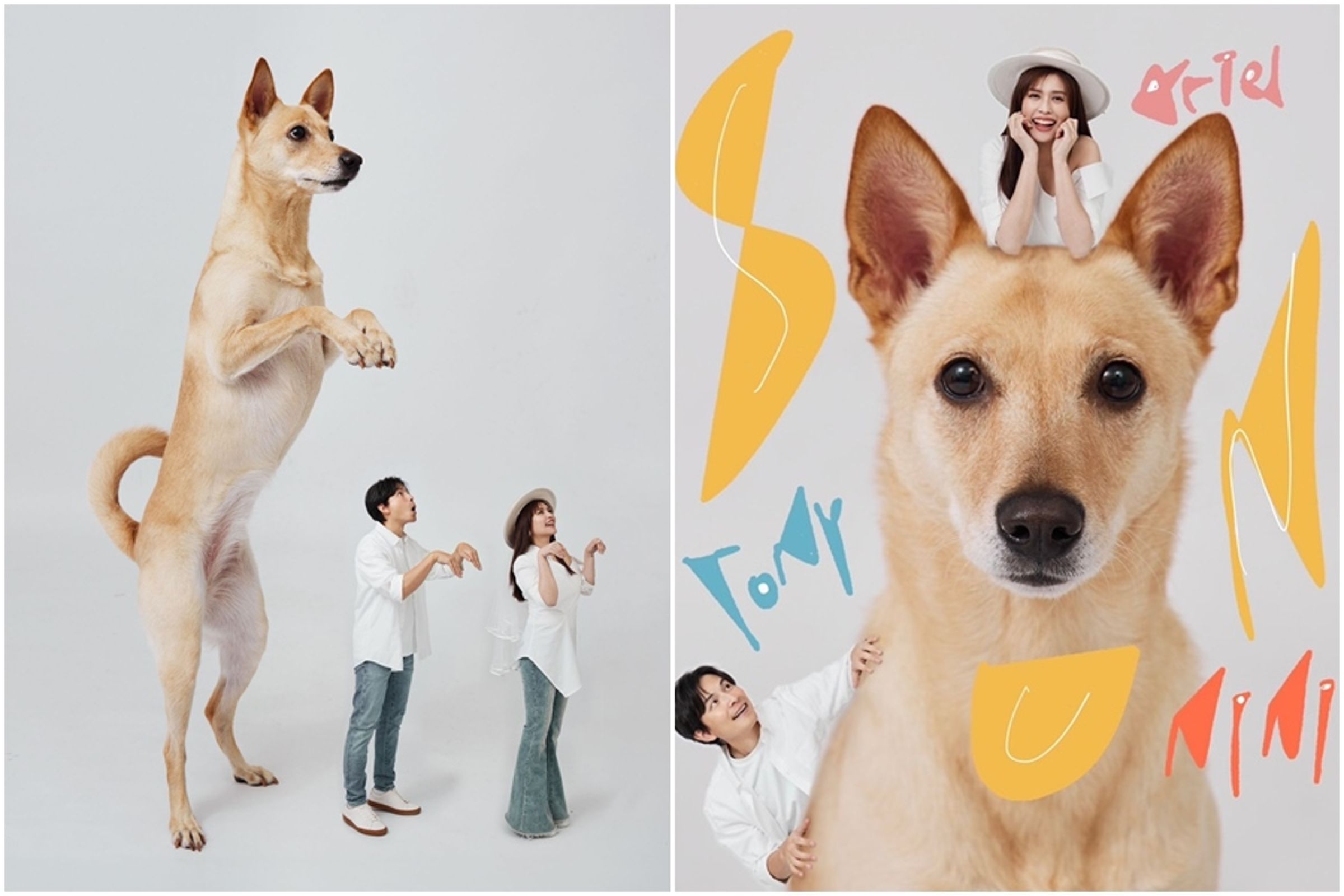 孫協志和夏宇童的婚照非常特別,是將愛犬Nini放大,2人比例縮小,形成有趣的對比。(翻攝自孫協志臉書)