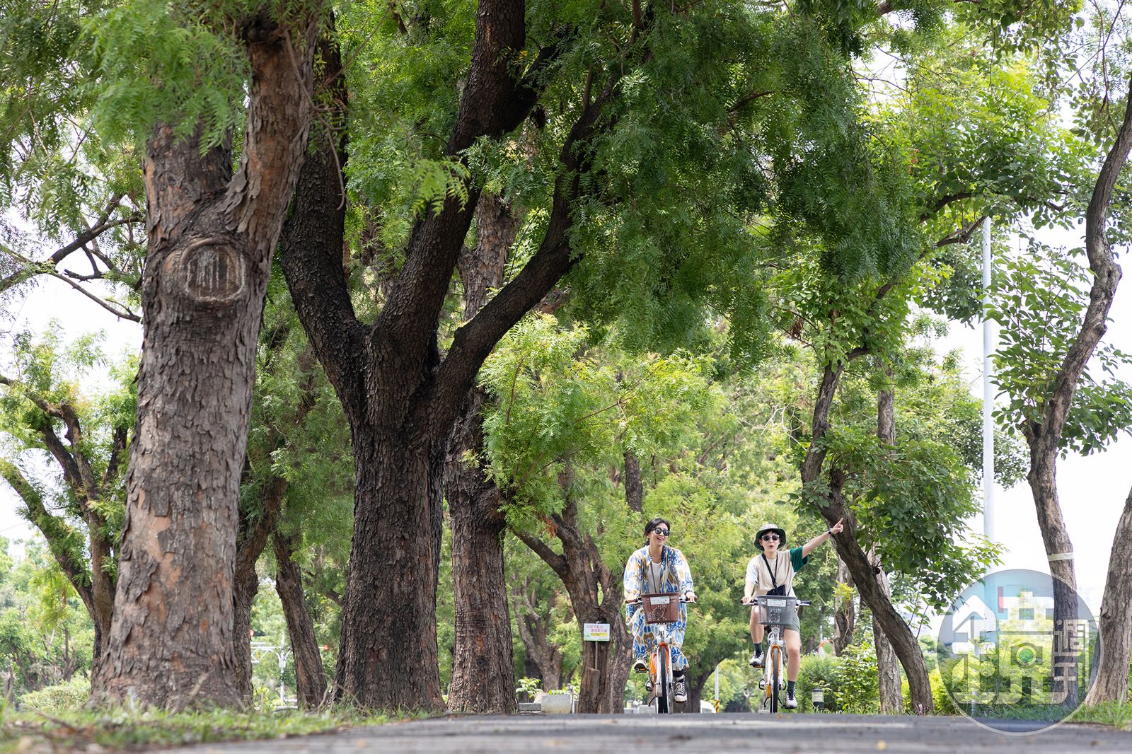 慢遊嘉義更上癮1／用單車、電動公車玩出這座城市最舒服的旅行步調