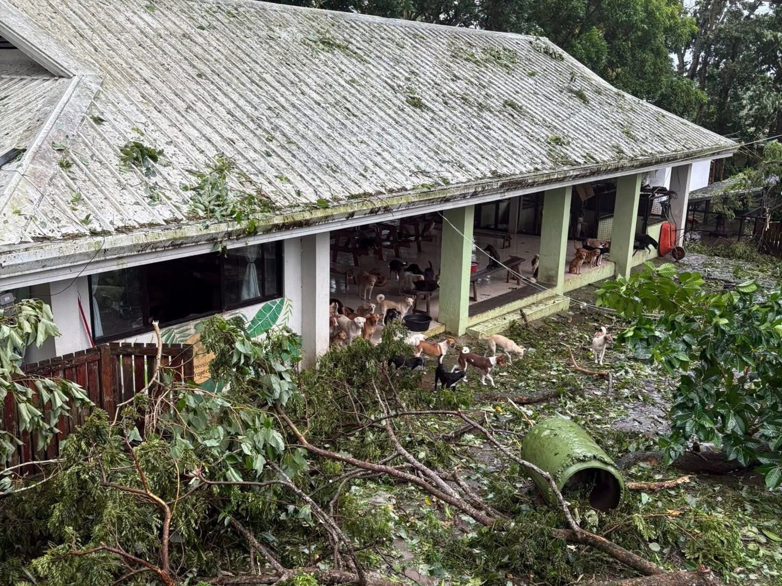 颱風「海鷗」重創菲律賓!188死135人失蹤 宣布進入全國災難狀態