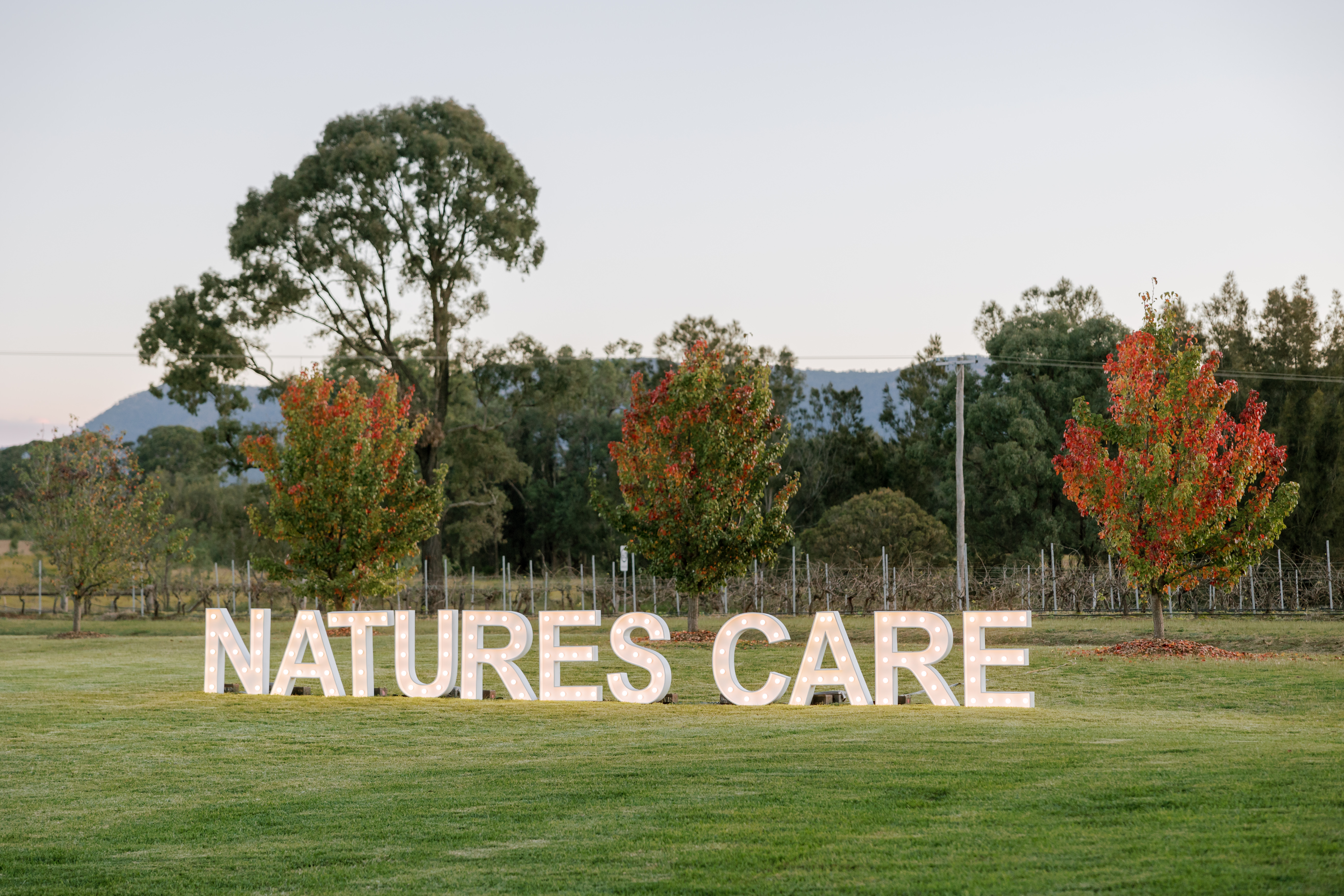 澳洲第三大保養品牌Nature's Care由移民澳洲的台灣人在1990年創立，目前已將市場拓展至亞洲其他國家。（Nature's Care提供）