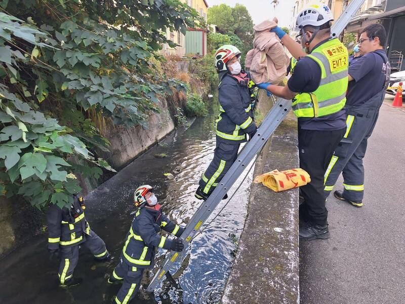 今（29）日上午，台中市潭子區潭富路旁一處大排水溝發現1名死亡男嬰。（民眾提供）