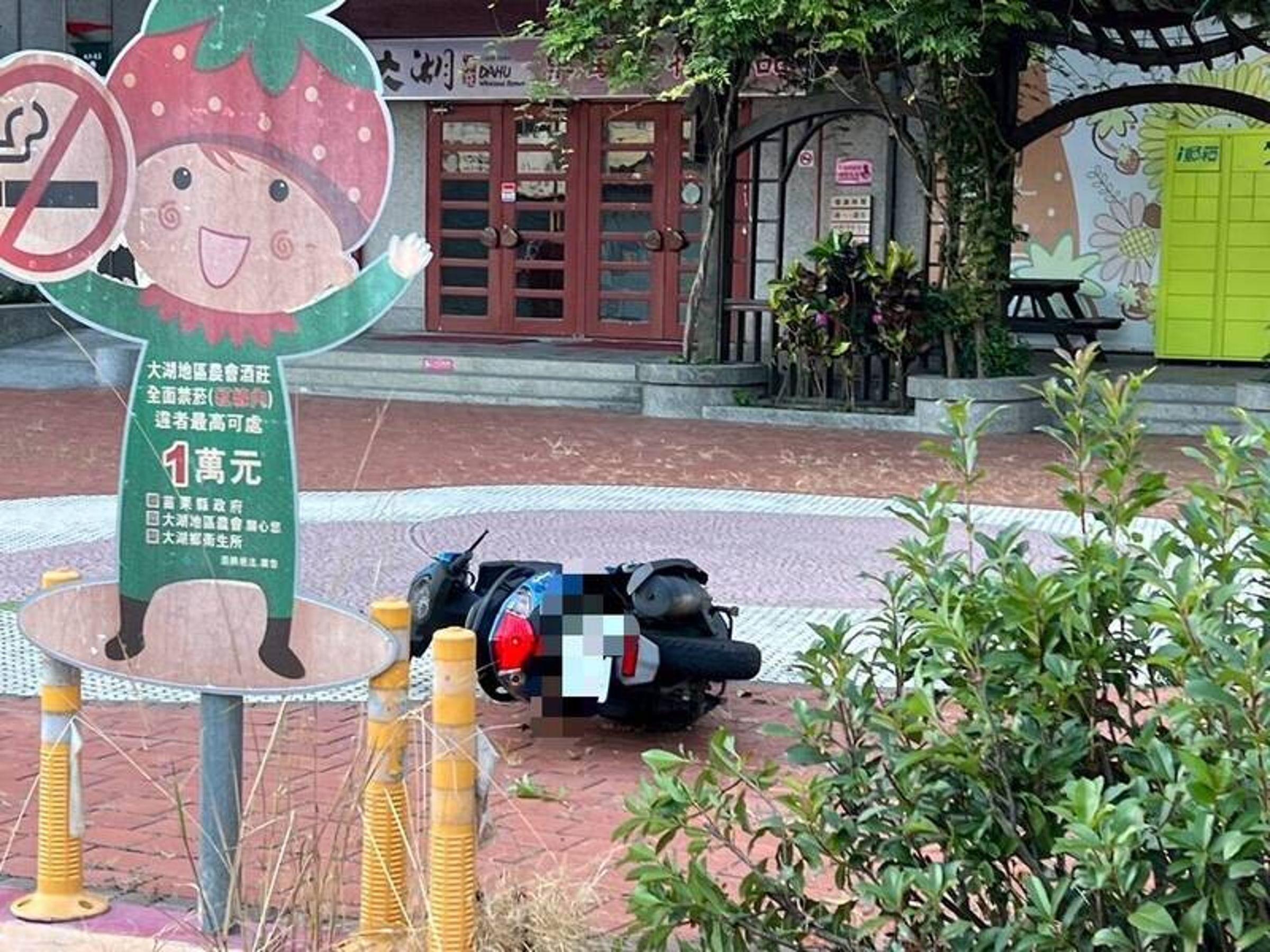 苗栗大湖酒莊前今清晨發生一起車禍,騎士撞上1小時前被大貨車輾斃的狗狗,連人帶車滑行倒地。(翻攝畫面)