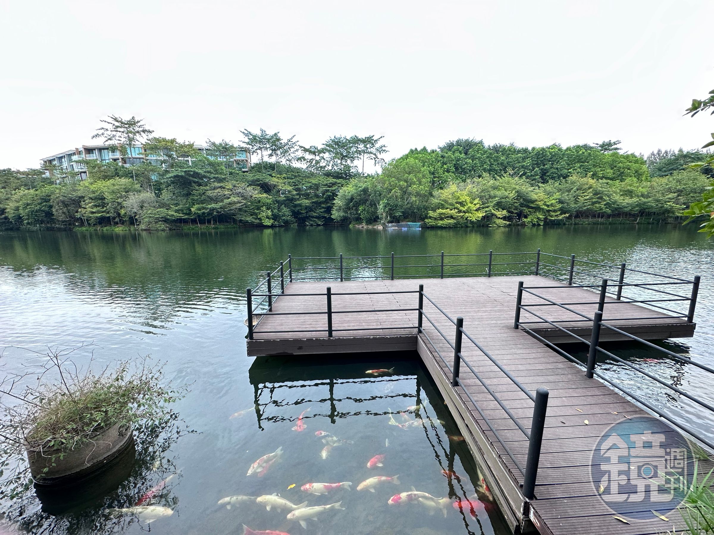 園區十分廣大，共有3座生態湖泊。